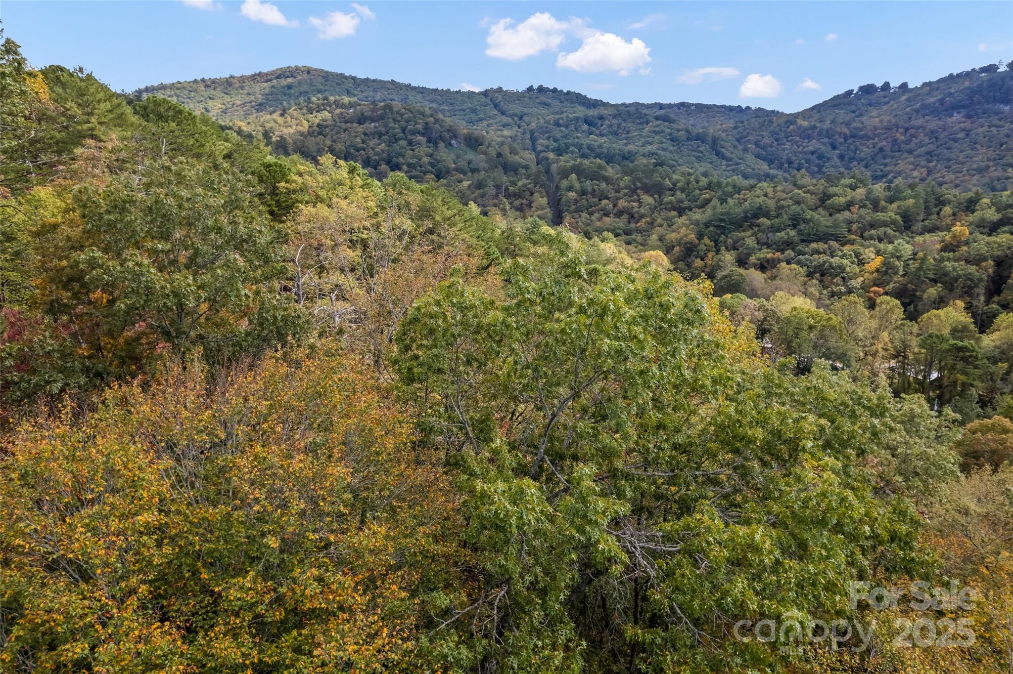 99999 Chastain Road Property Photo 6