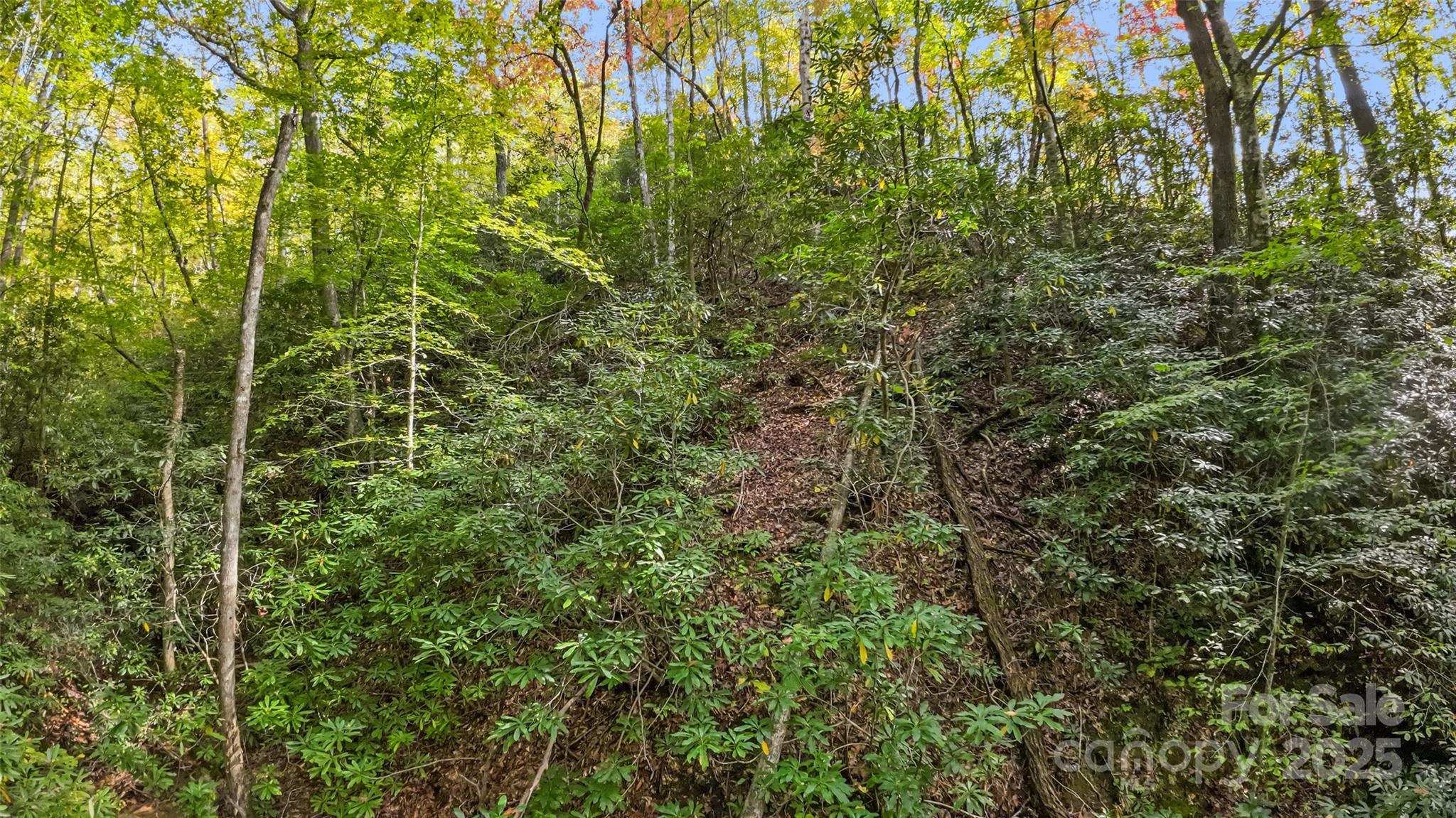99999 Chastain Road Property Photo 9
