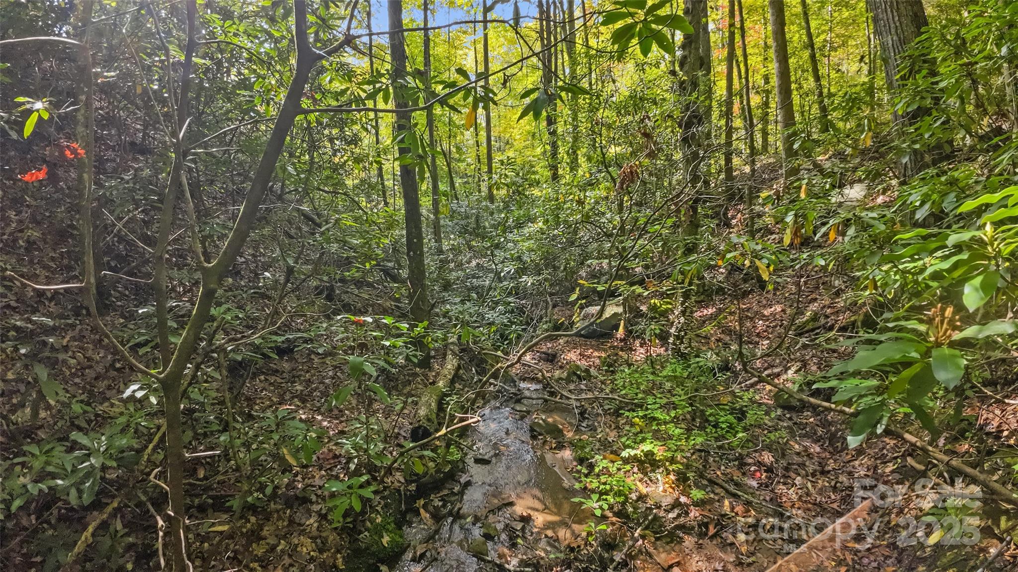 99999 Chastain Road Property Photo 12