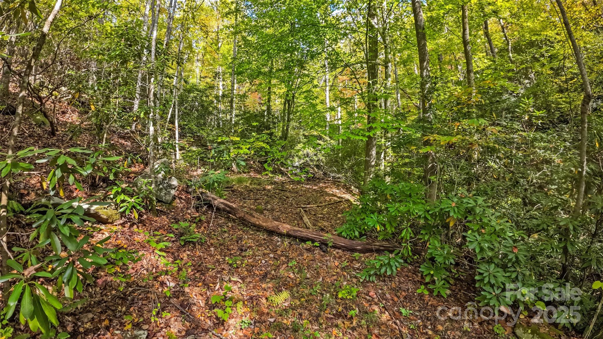 99999 Chastain Road Property Photo 14