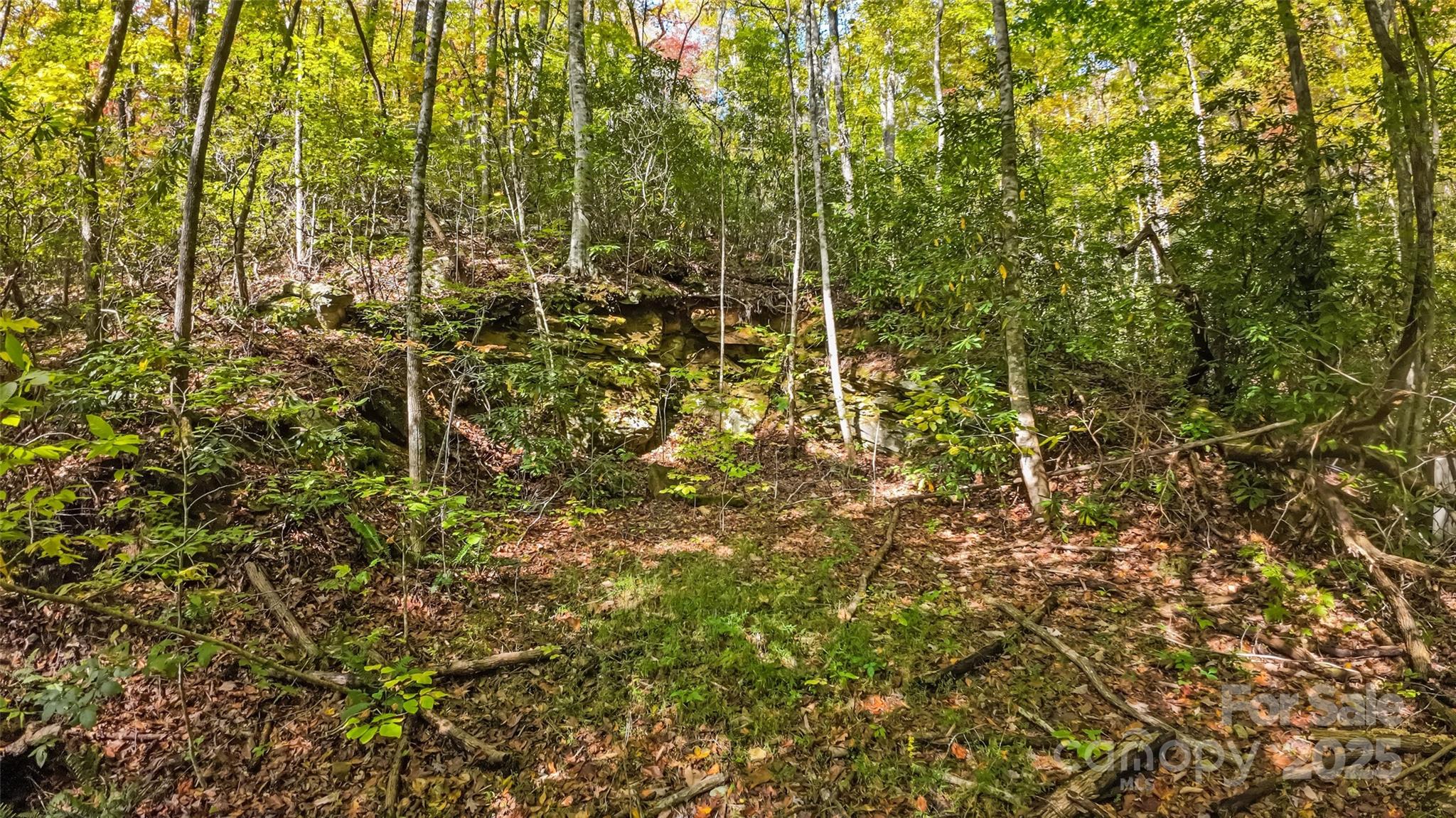 99999 Chastain Road Property Photo 15