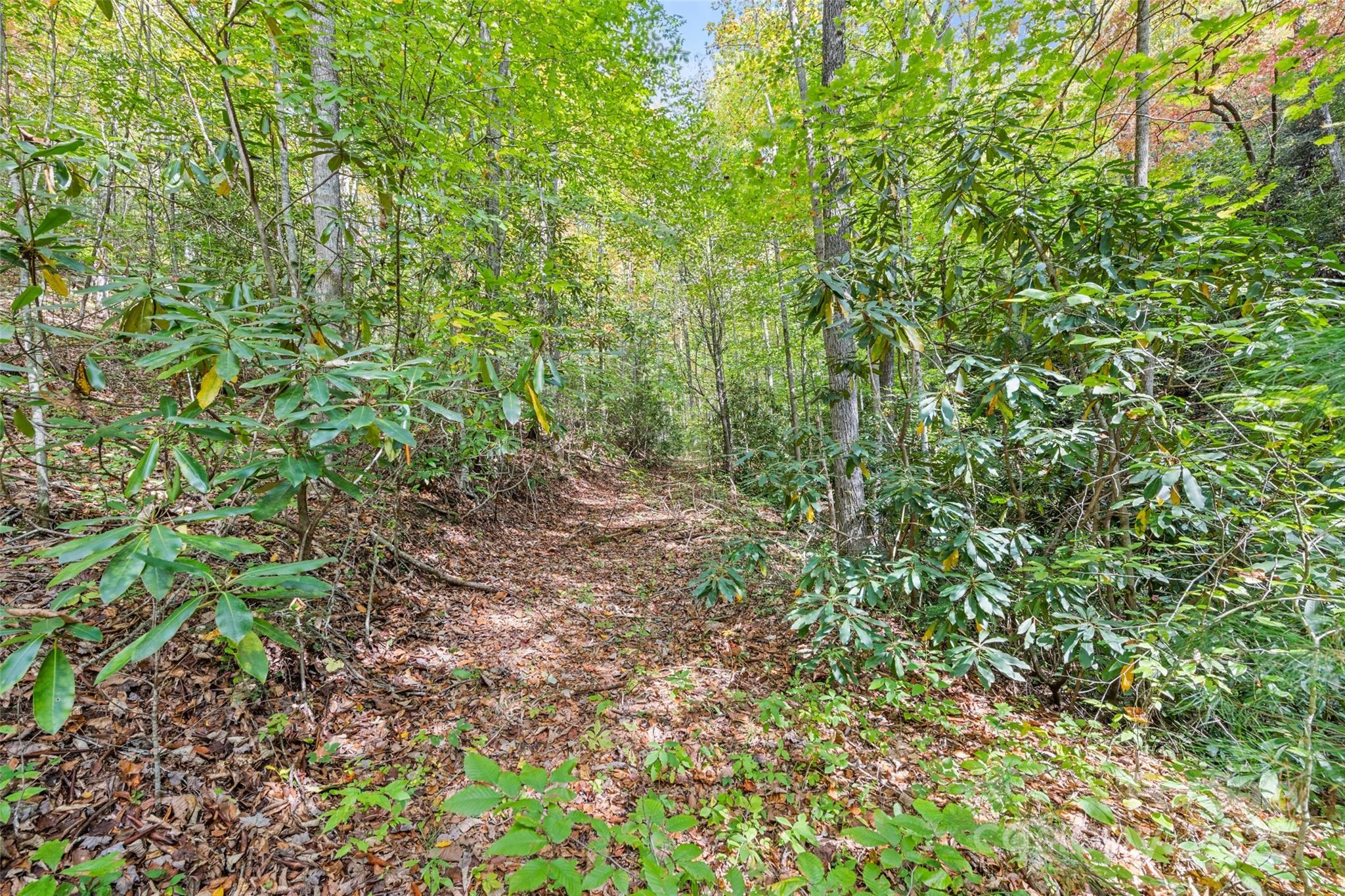 99999 Chastain Road Property Photo 25