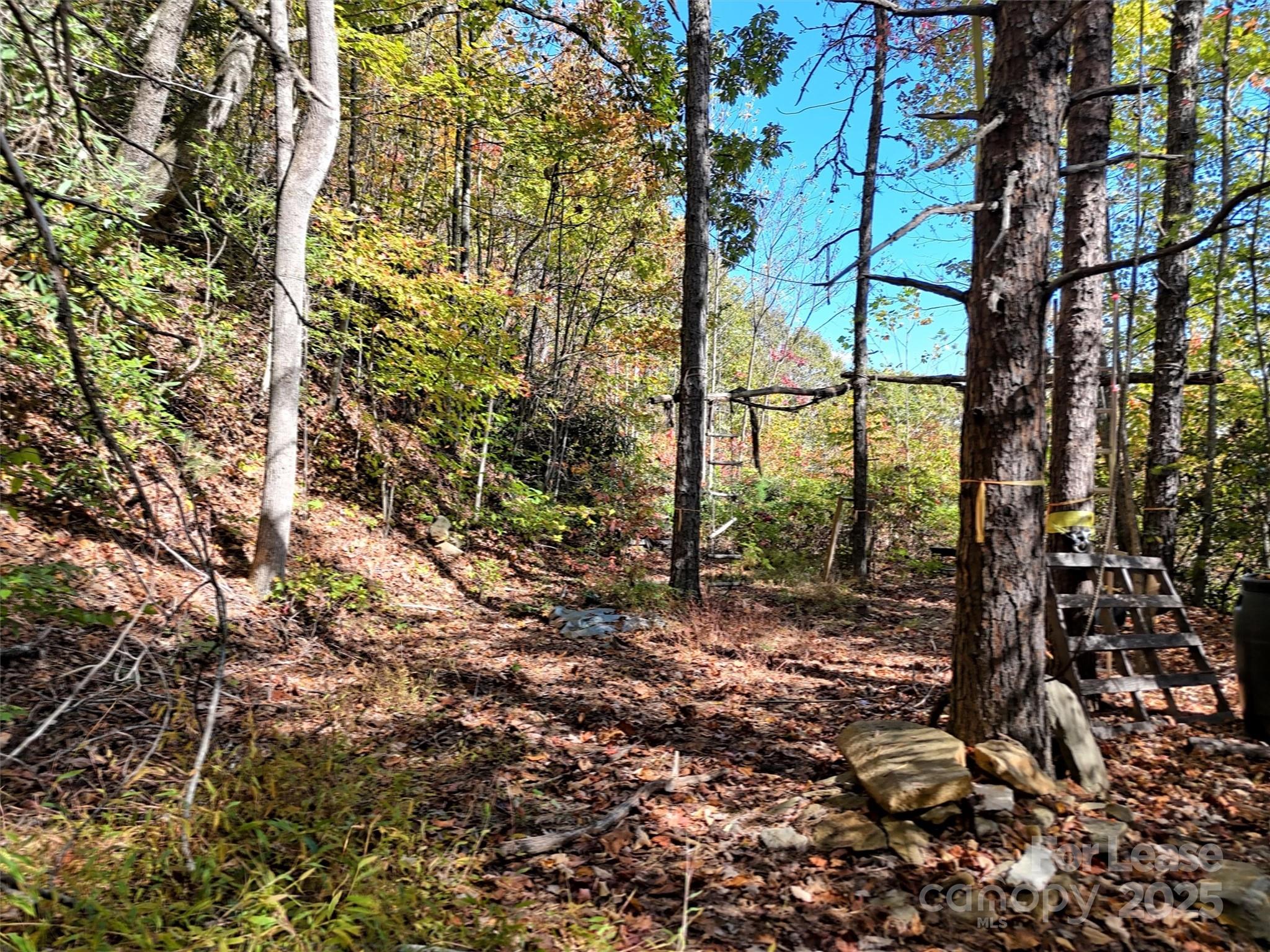Tbd Mack Luke Road 6 & 7 Property Photo 8
