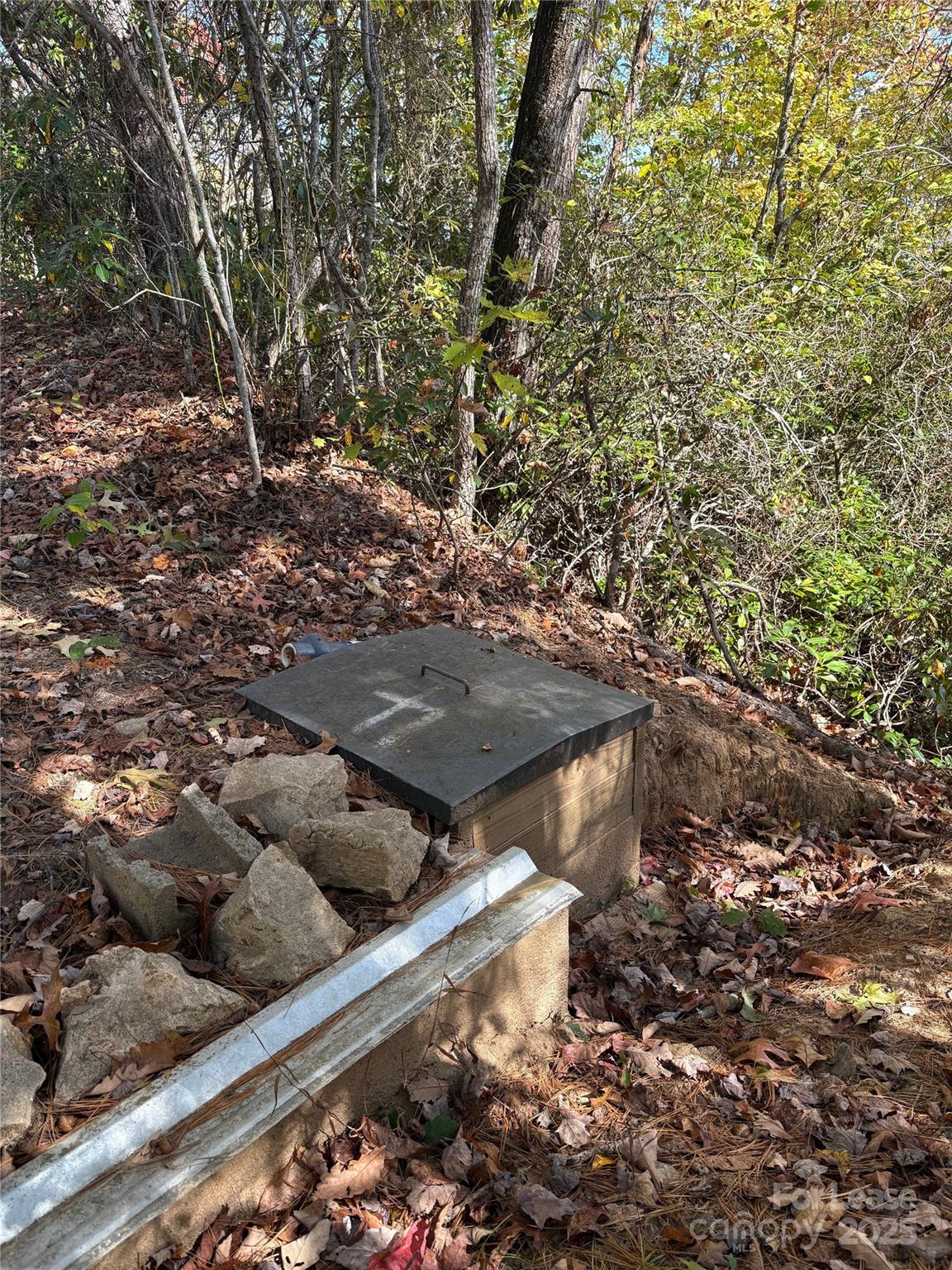 Tbd Mack Luke Road 6 & 7 Property Photo 11