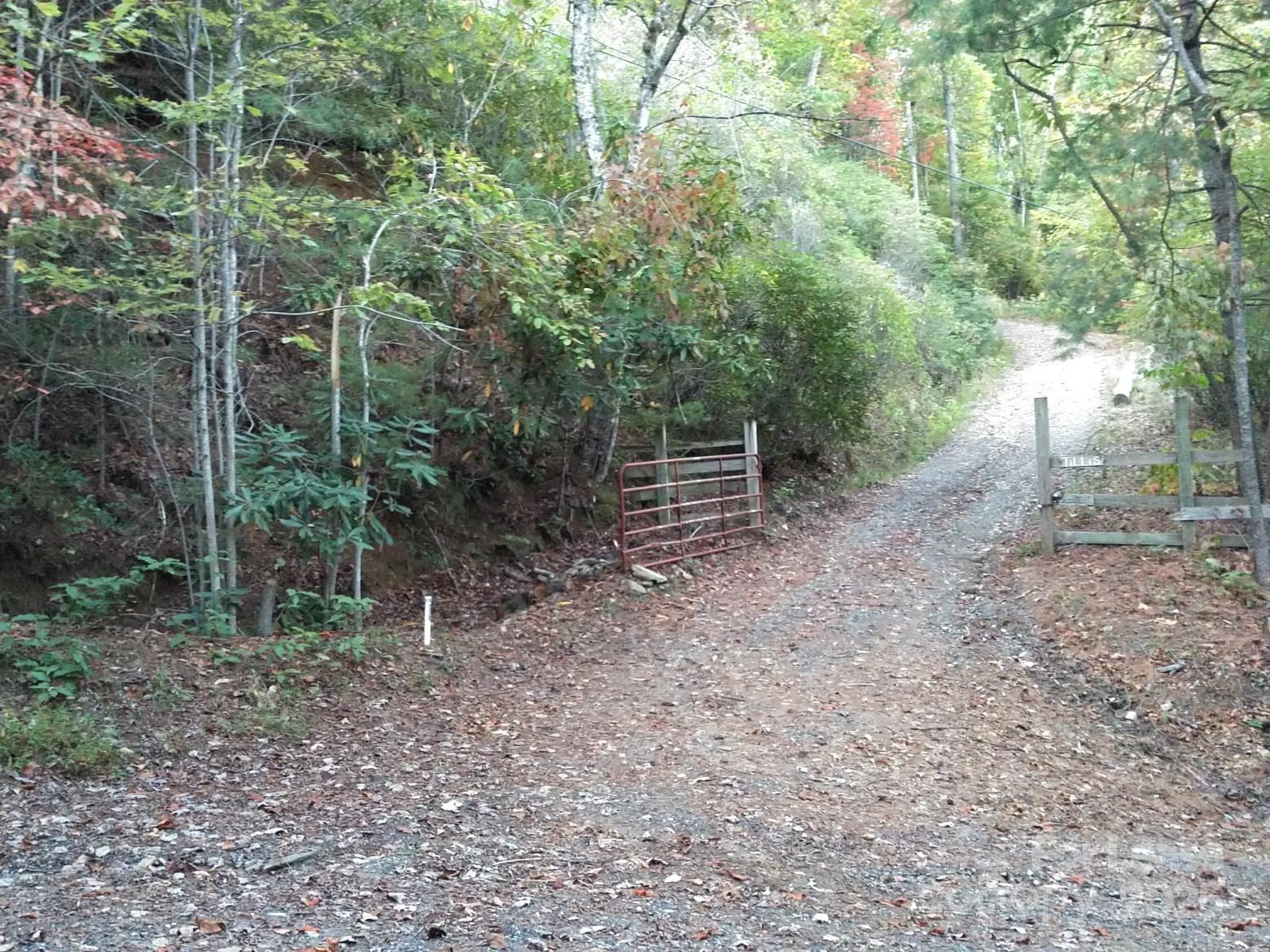 Tbd Mack Luke Road 6 & 7 Property Photo 15