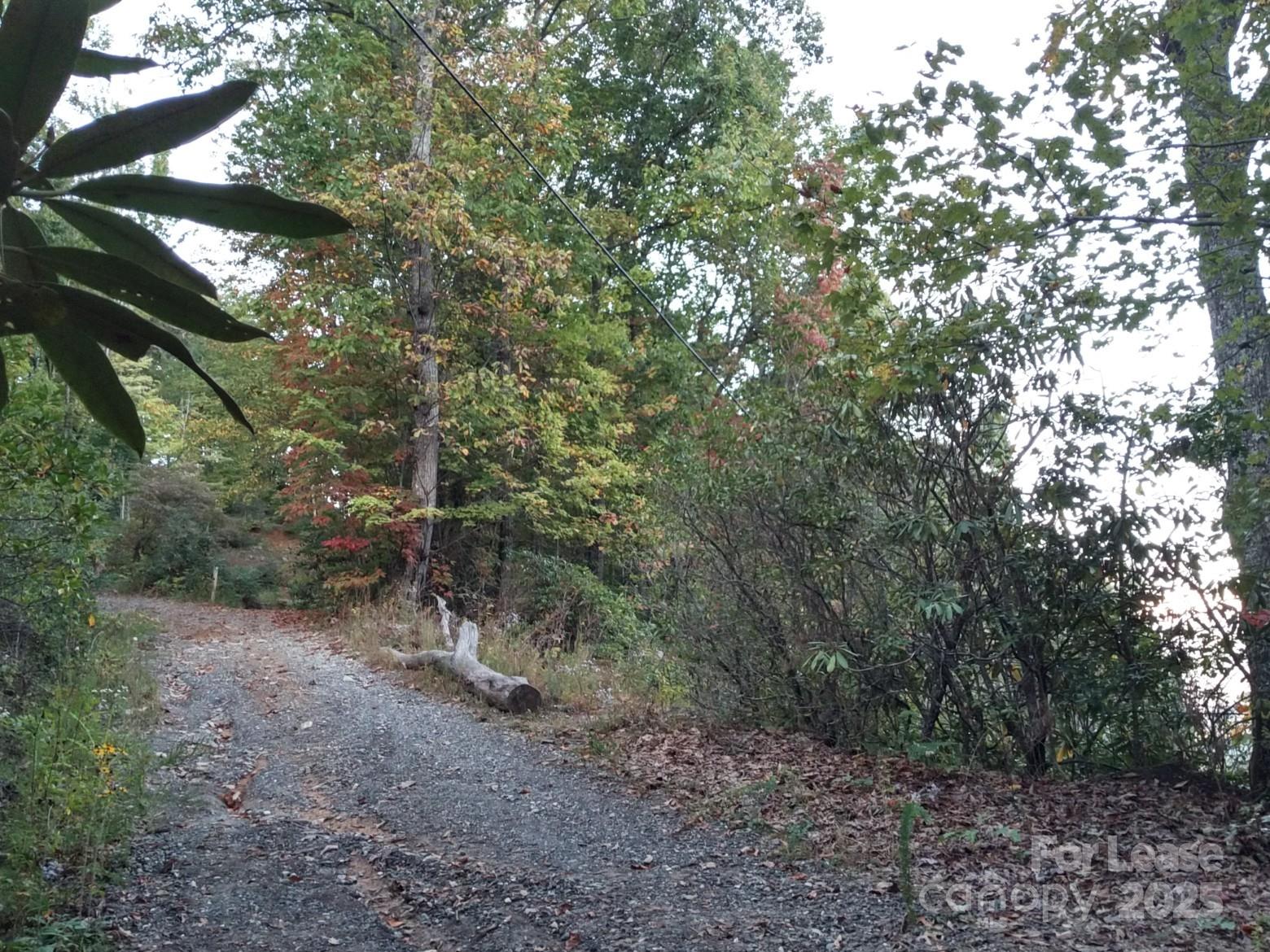Tbd Mack Luke Road 6 & 7 Property Photo 16