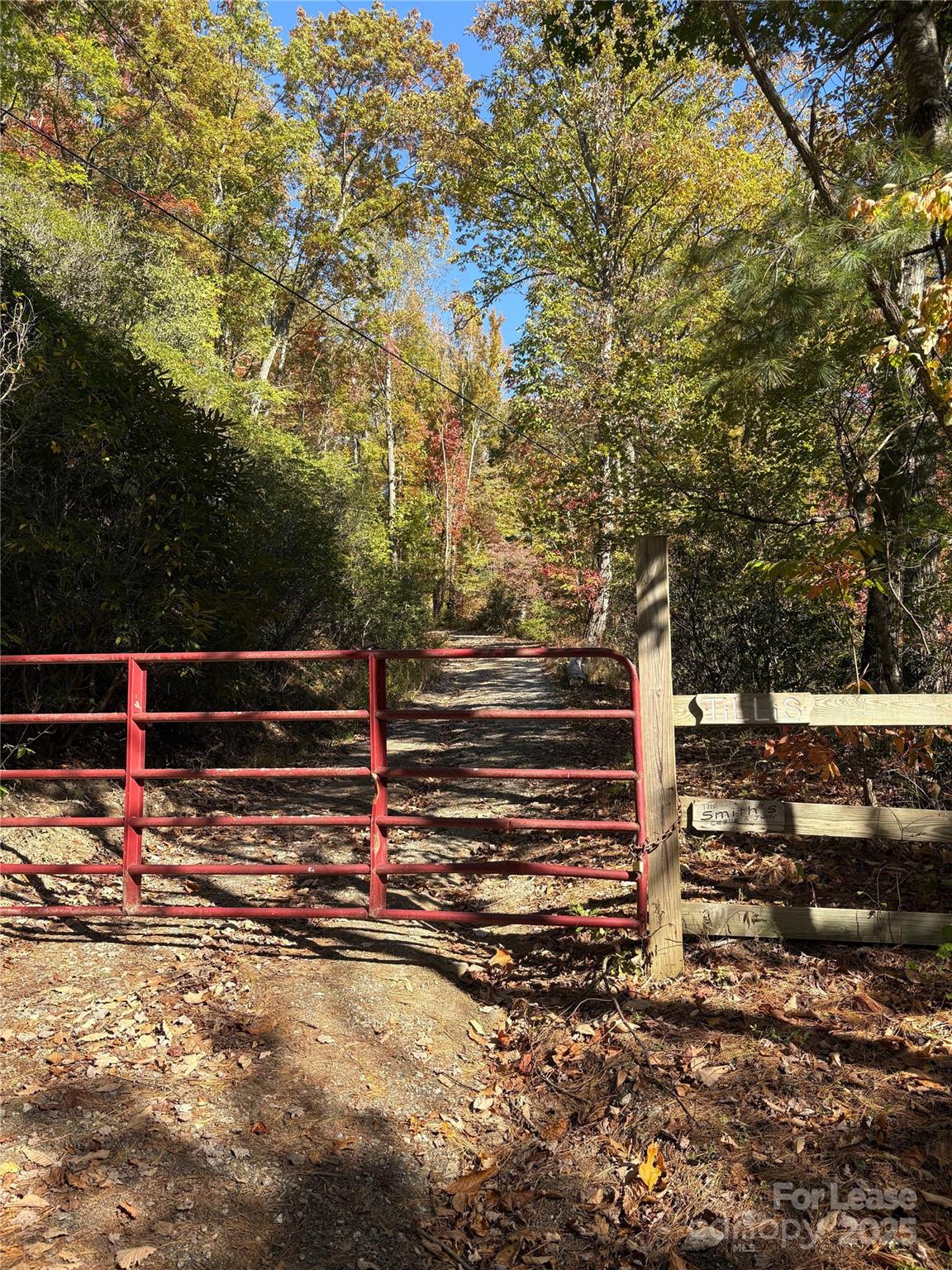 Tbd Mack Luke Road 6 & 7 Property Photo 17