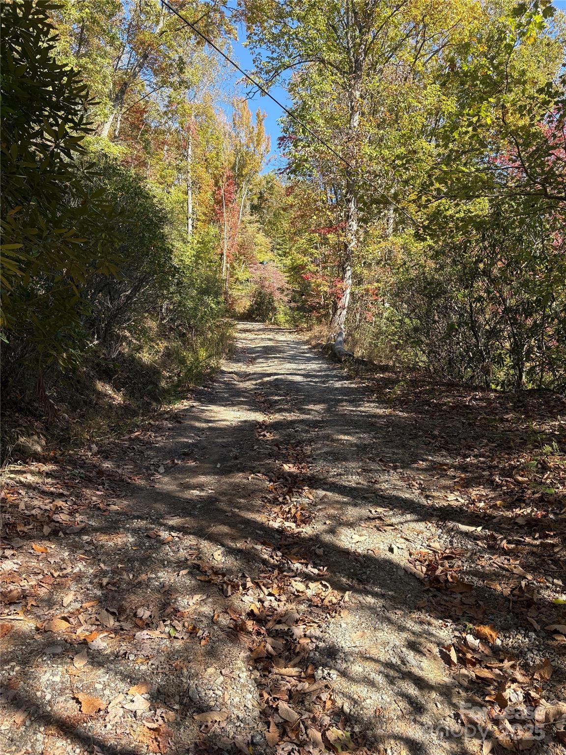 Tbd Mack Luke Road 6 & 7 Property Photo 18