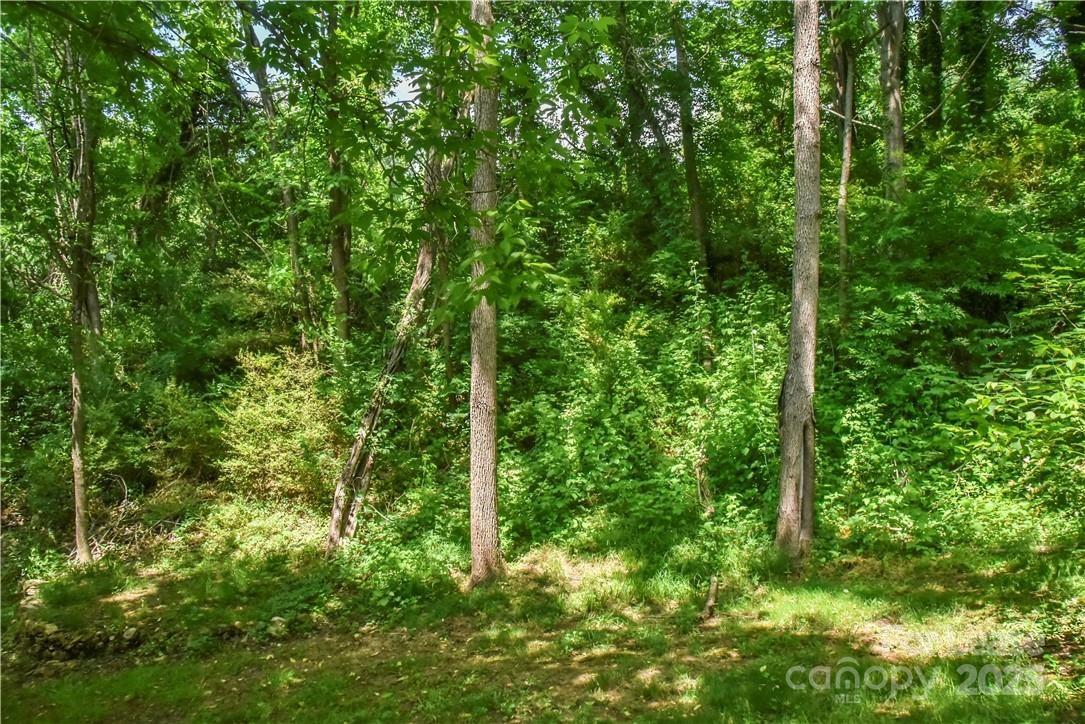 543 College Street Property Photo 19