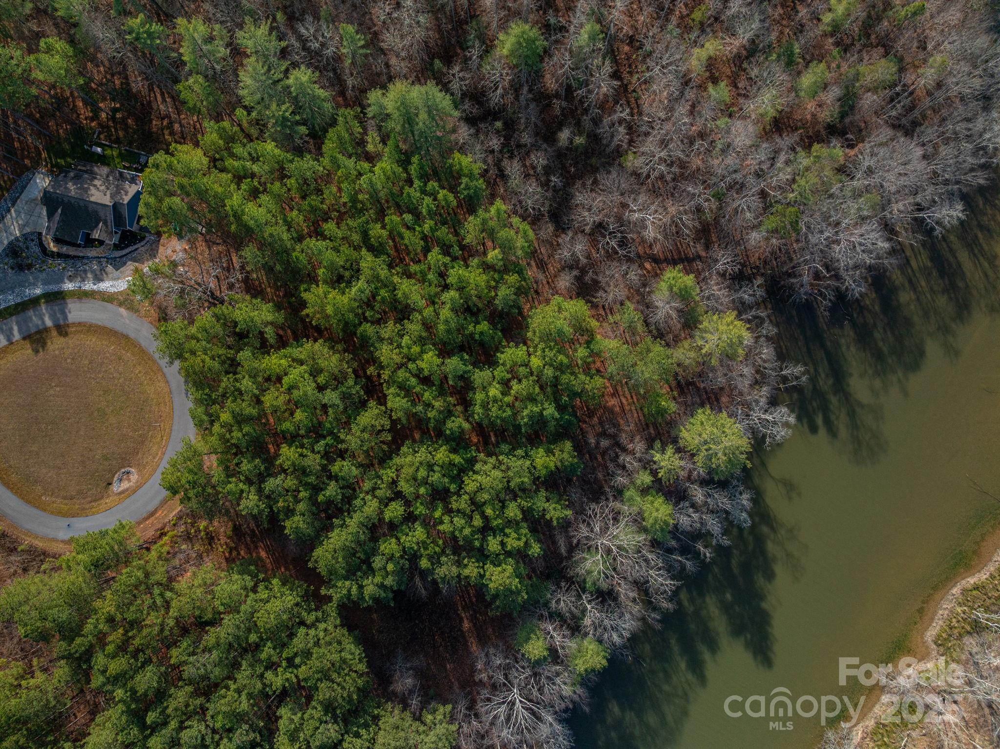 125 Catawba Cove Drive Property Photo 3