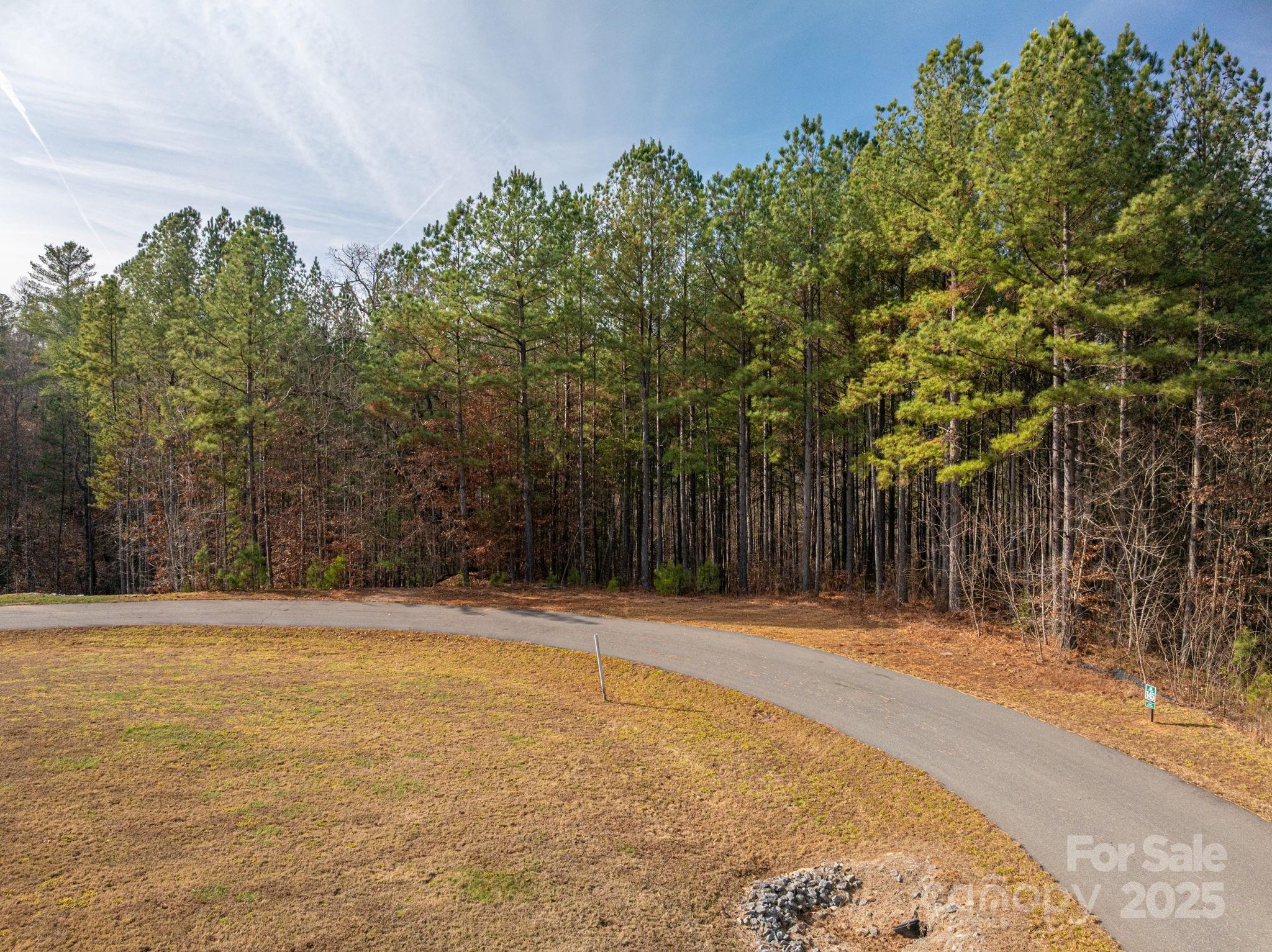 125 Catawba Cove Drive Property Photo 8