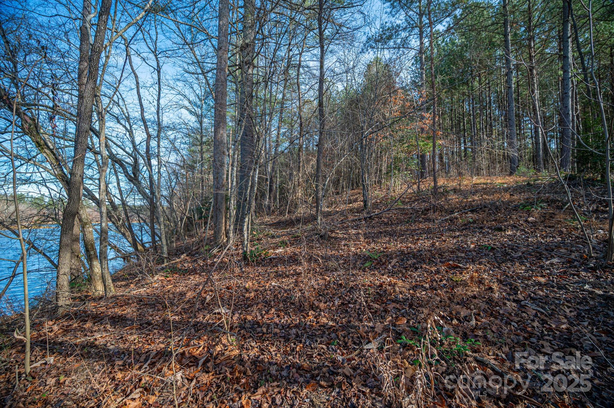125 Catawba Cove Drive Property Photo 23
