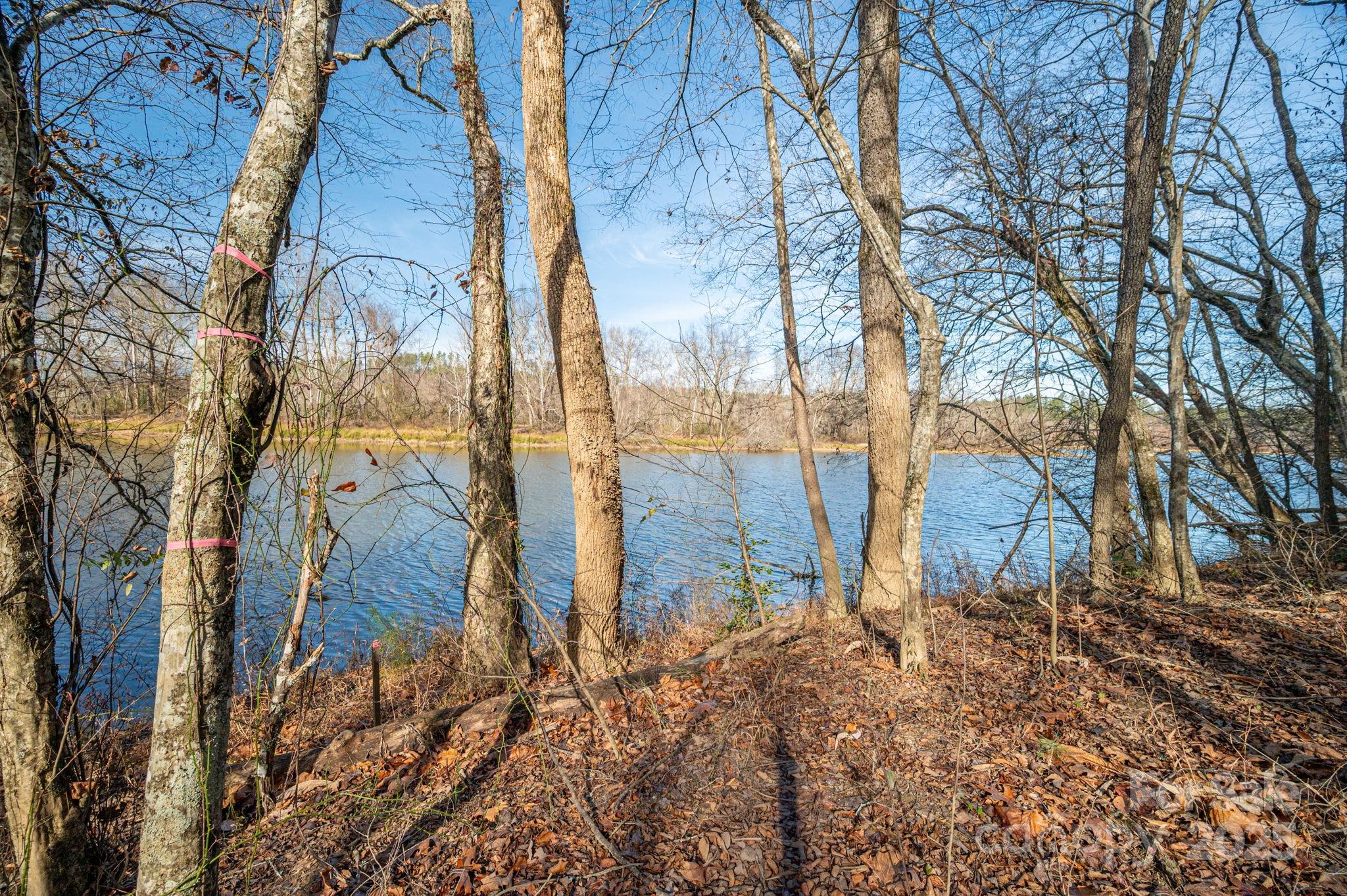 125 Catawba Cove Drive Property Photo 25