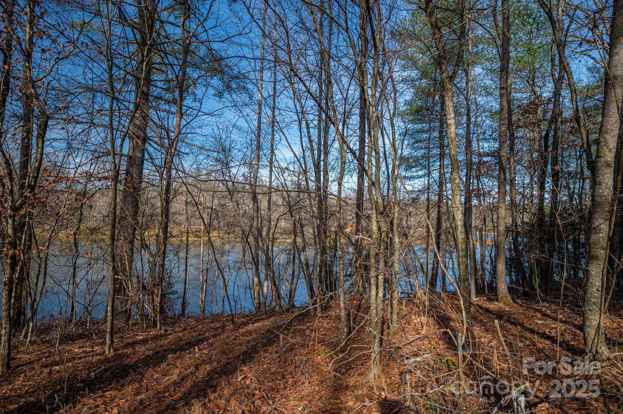 125 Catawba Cove Drive Property Photo 26