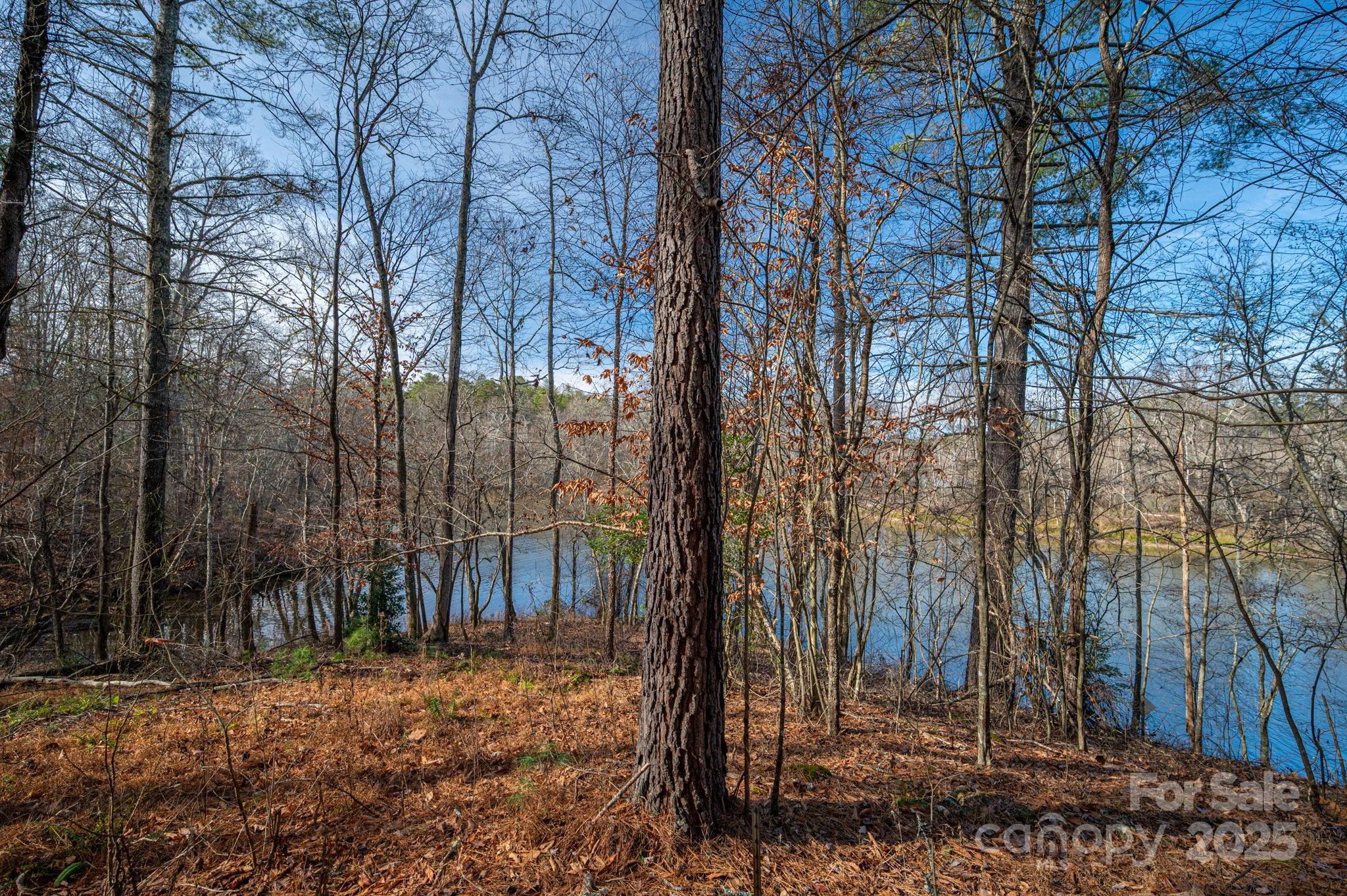 125 Catawba Cove Drive Property Photo 28
