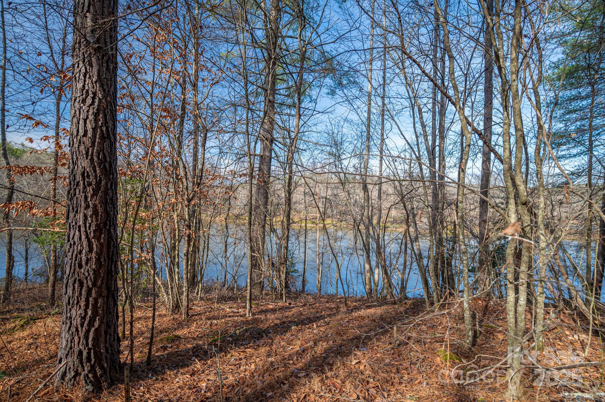 125 Catawba Cove Drive Property Photo 29