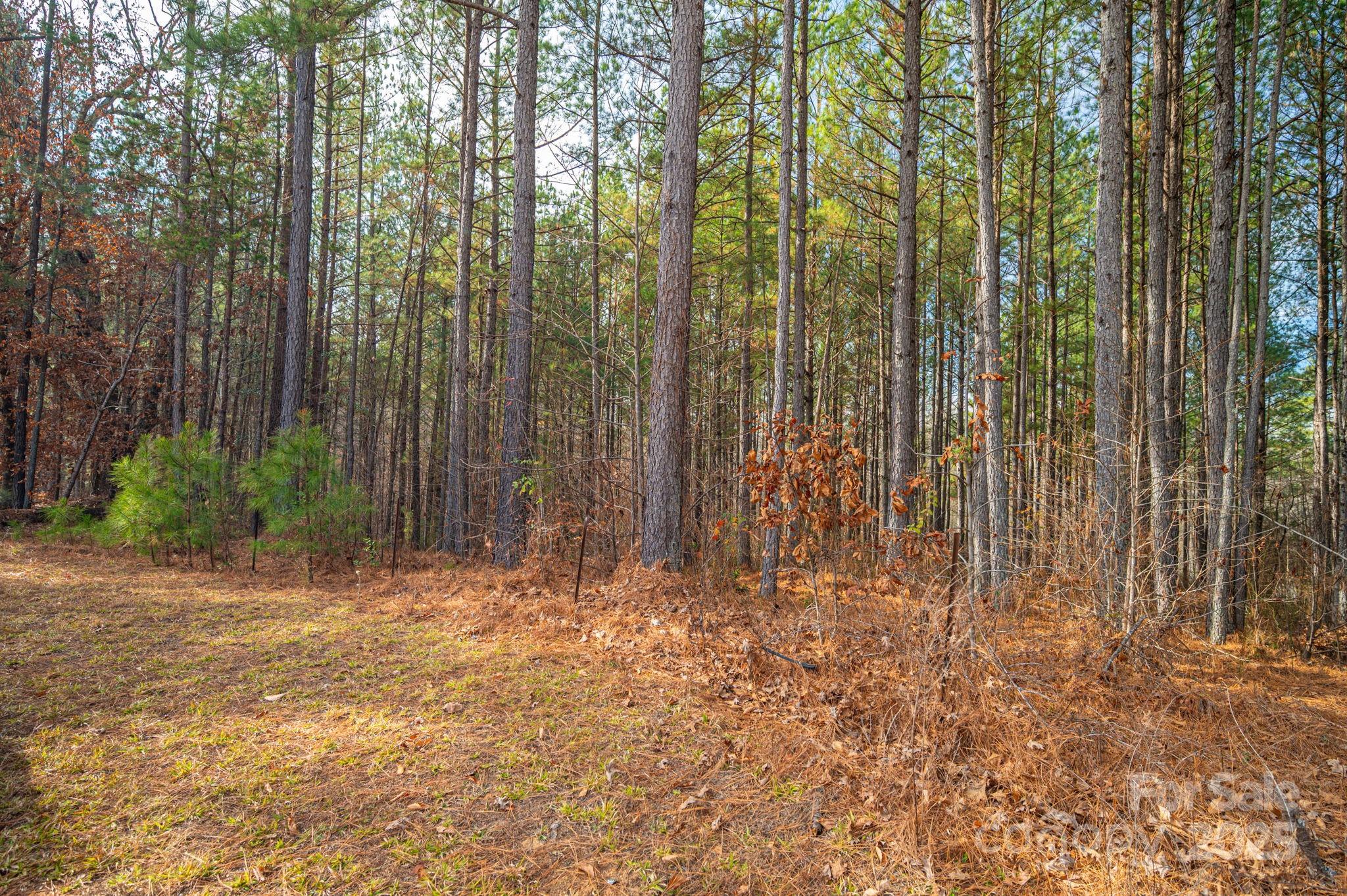 125 Catawba Cove Drive Property Photo 31