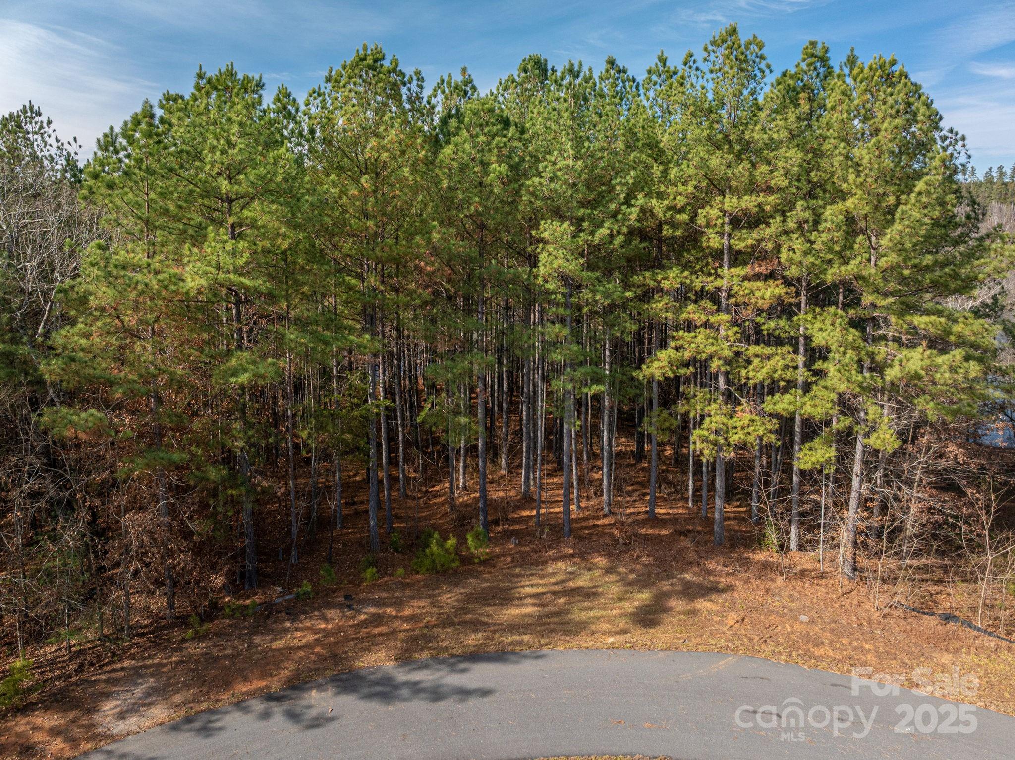 125 Catawba Cove Drive Property Photo 32