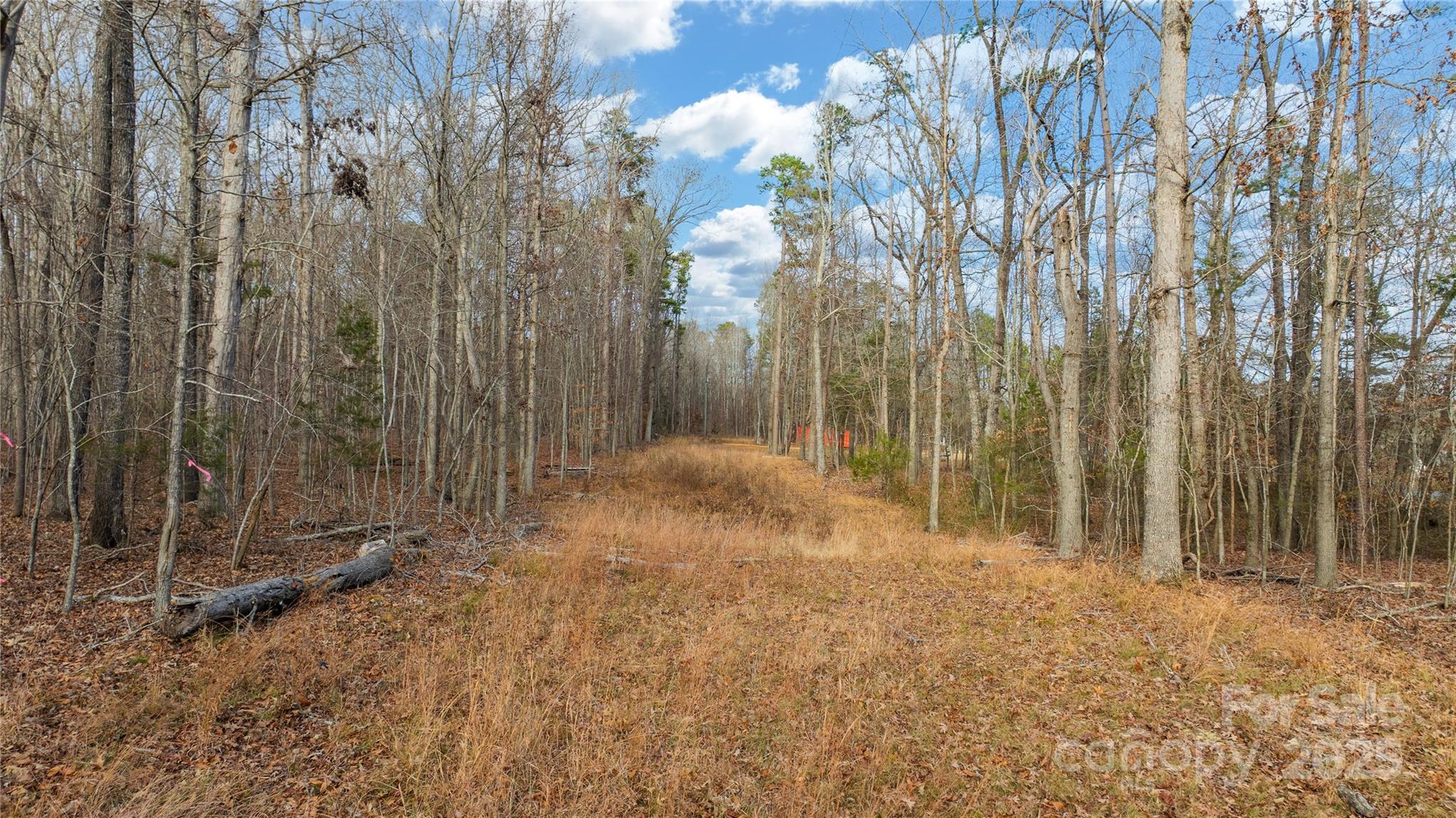 0 Cooper Road Property Photo 25