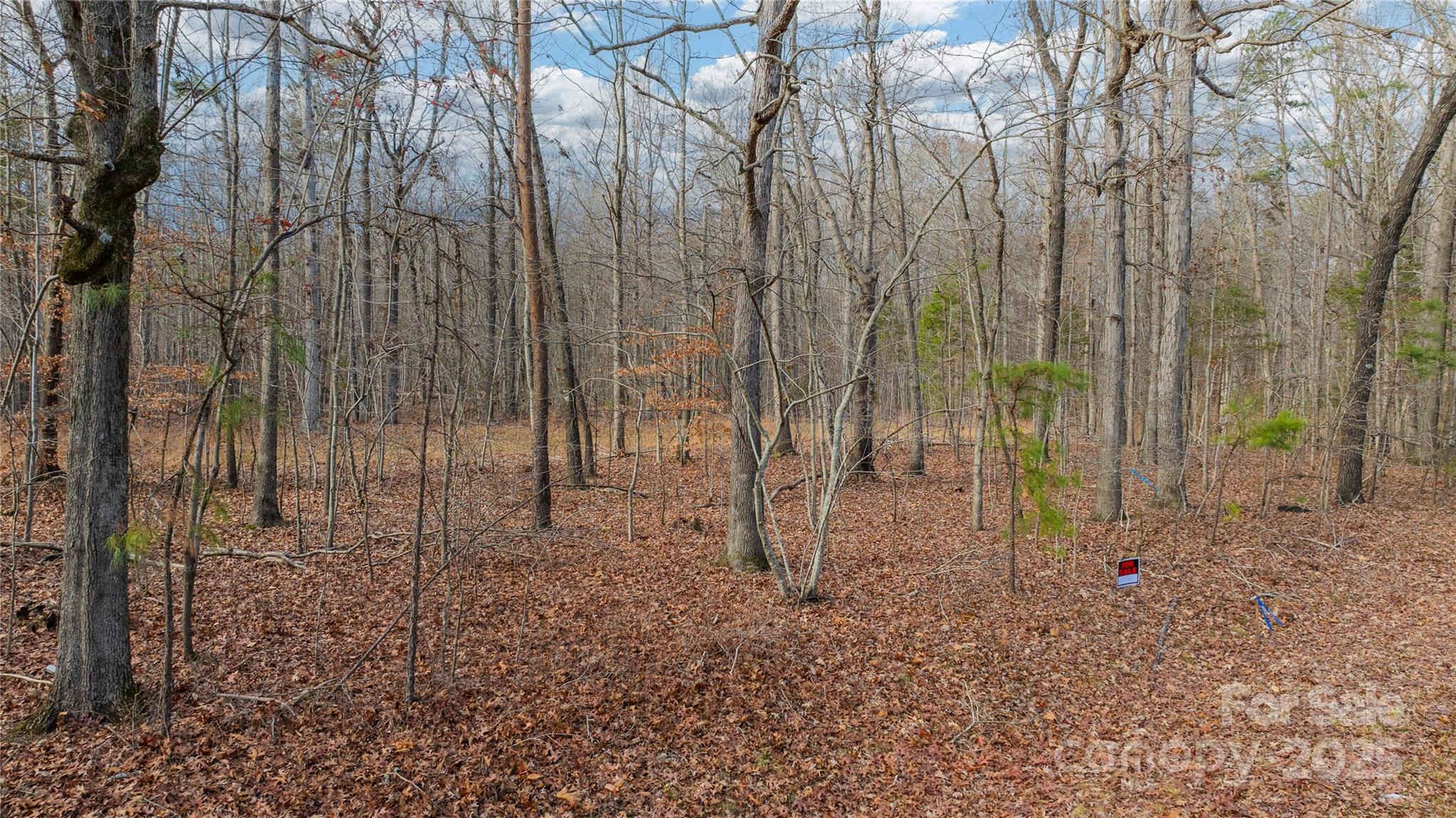 0 Cooper Road Property Photo 26