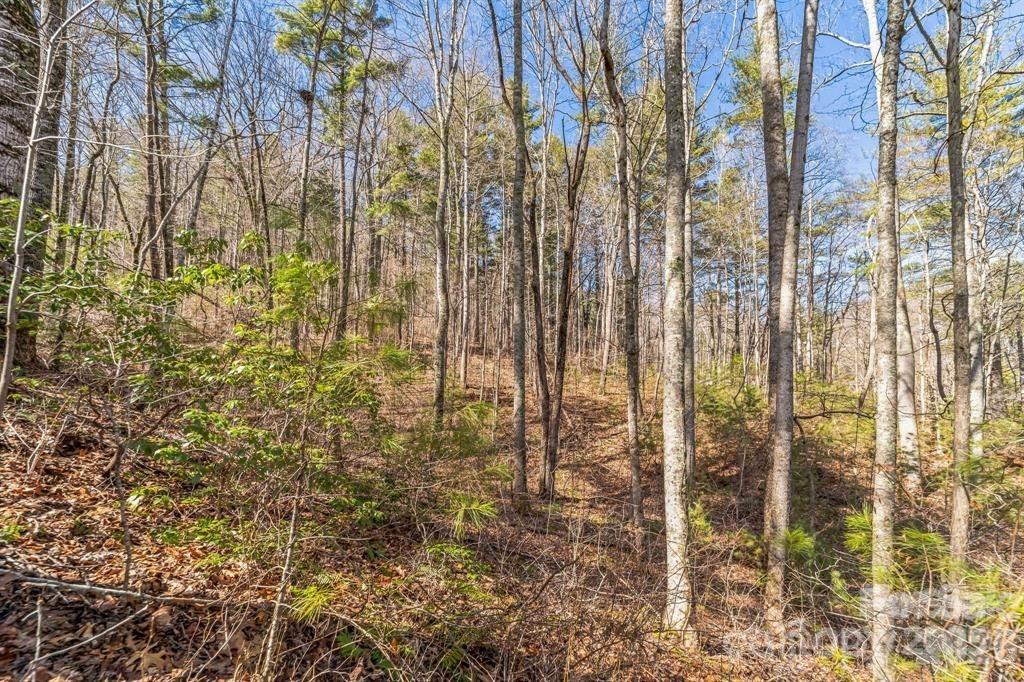 99999 Mill Road 2 Property Photo 4