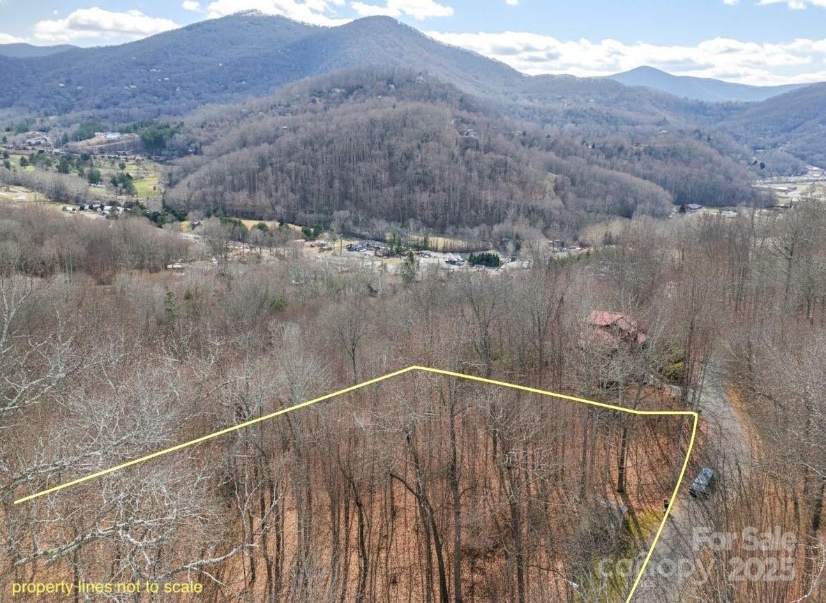 Tbd Hornets Nest Road Property Photo 8