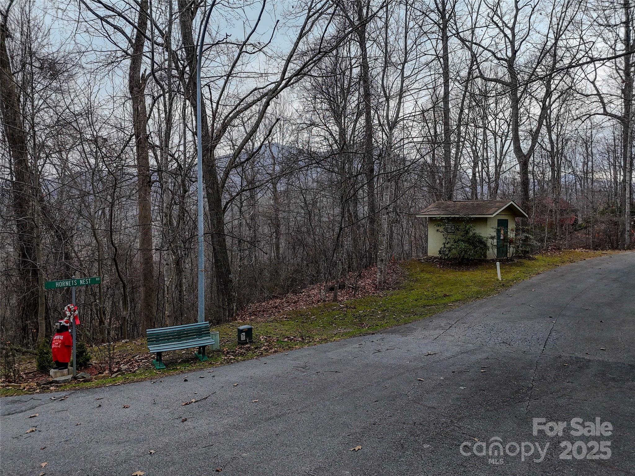Tbd Hornets Nest Road Property Photo 9
