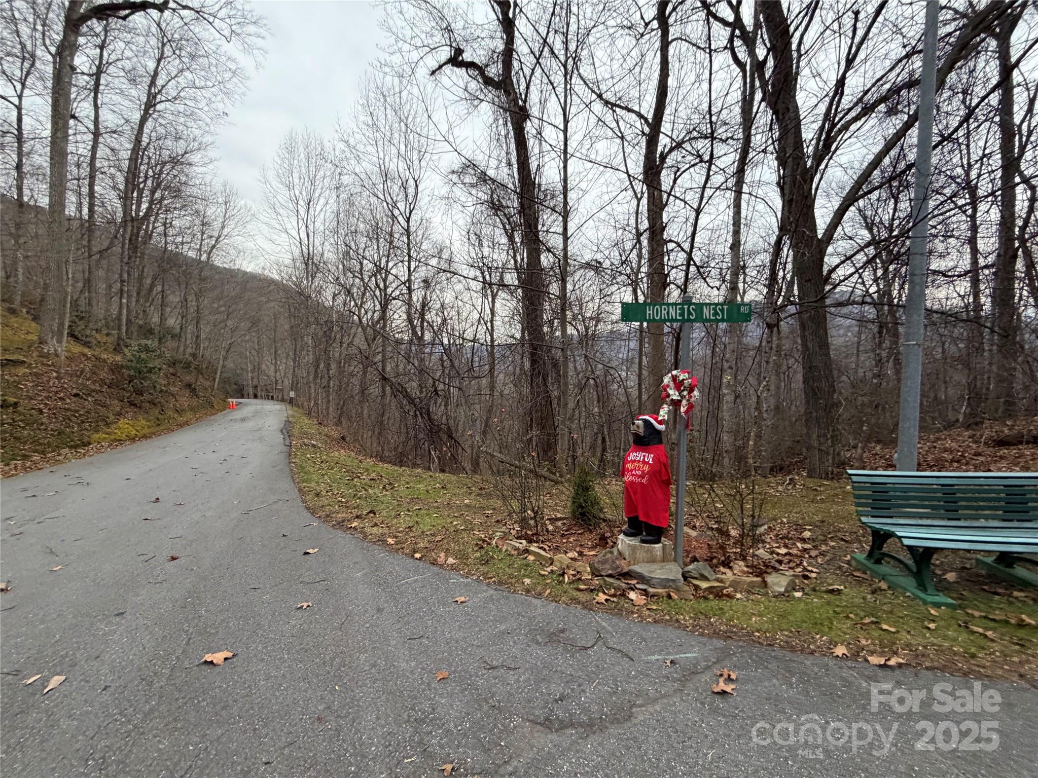 Tbd Hornets Nest Road Property Photo 11