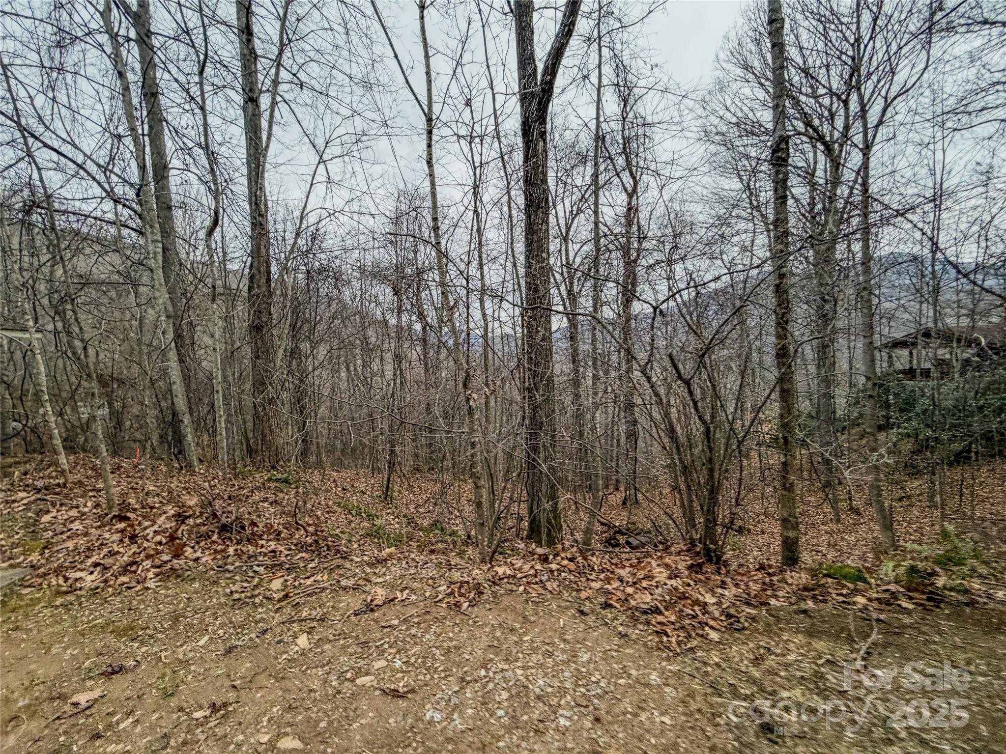 Tbd Hornets Nest Road Property Photo 13
