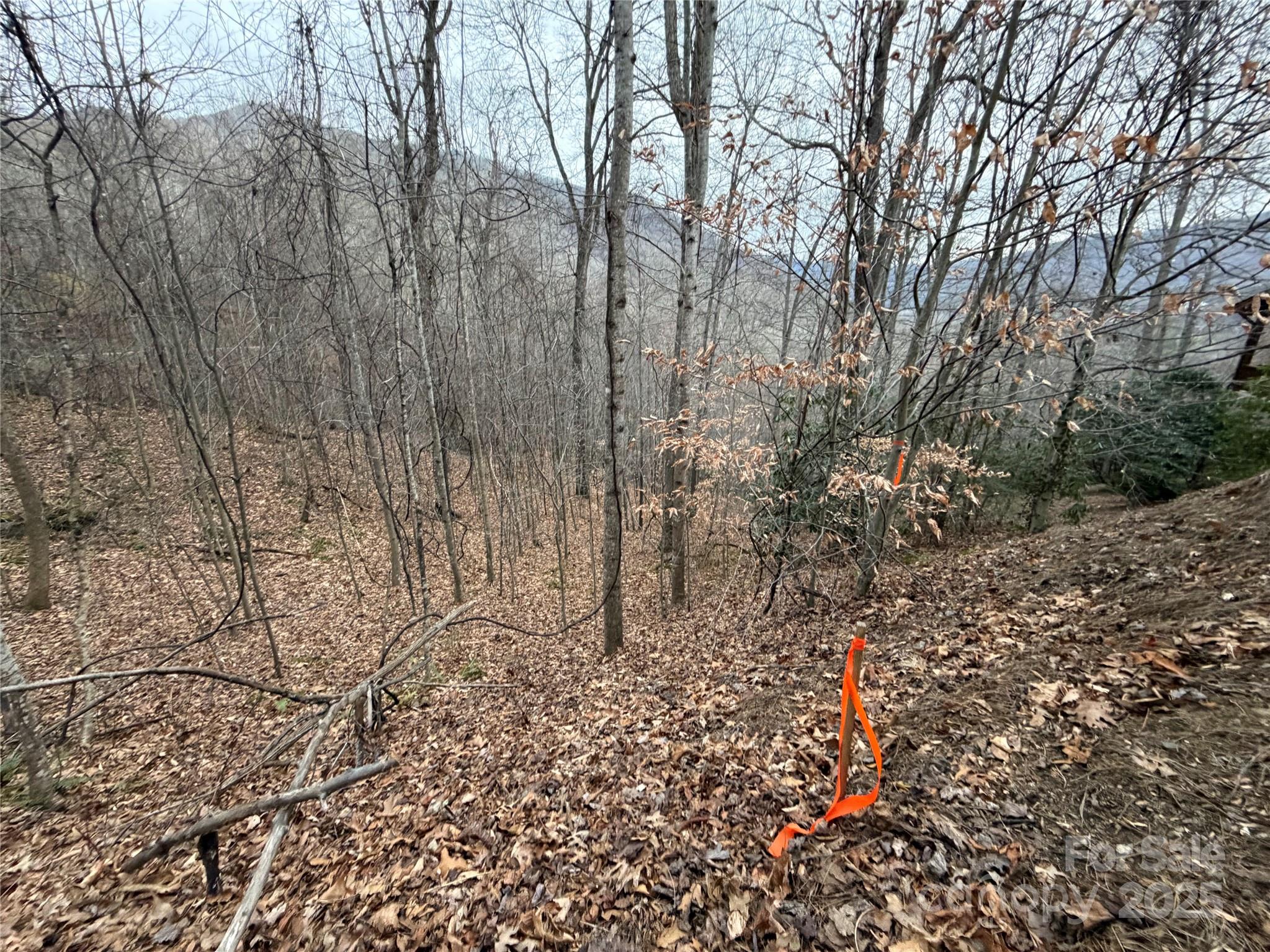 Tbd Hornets Nest Road Property Photo 14