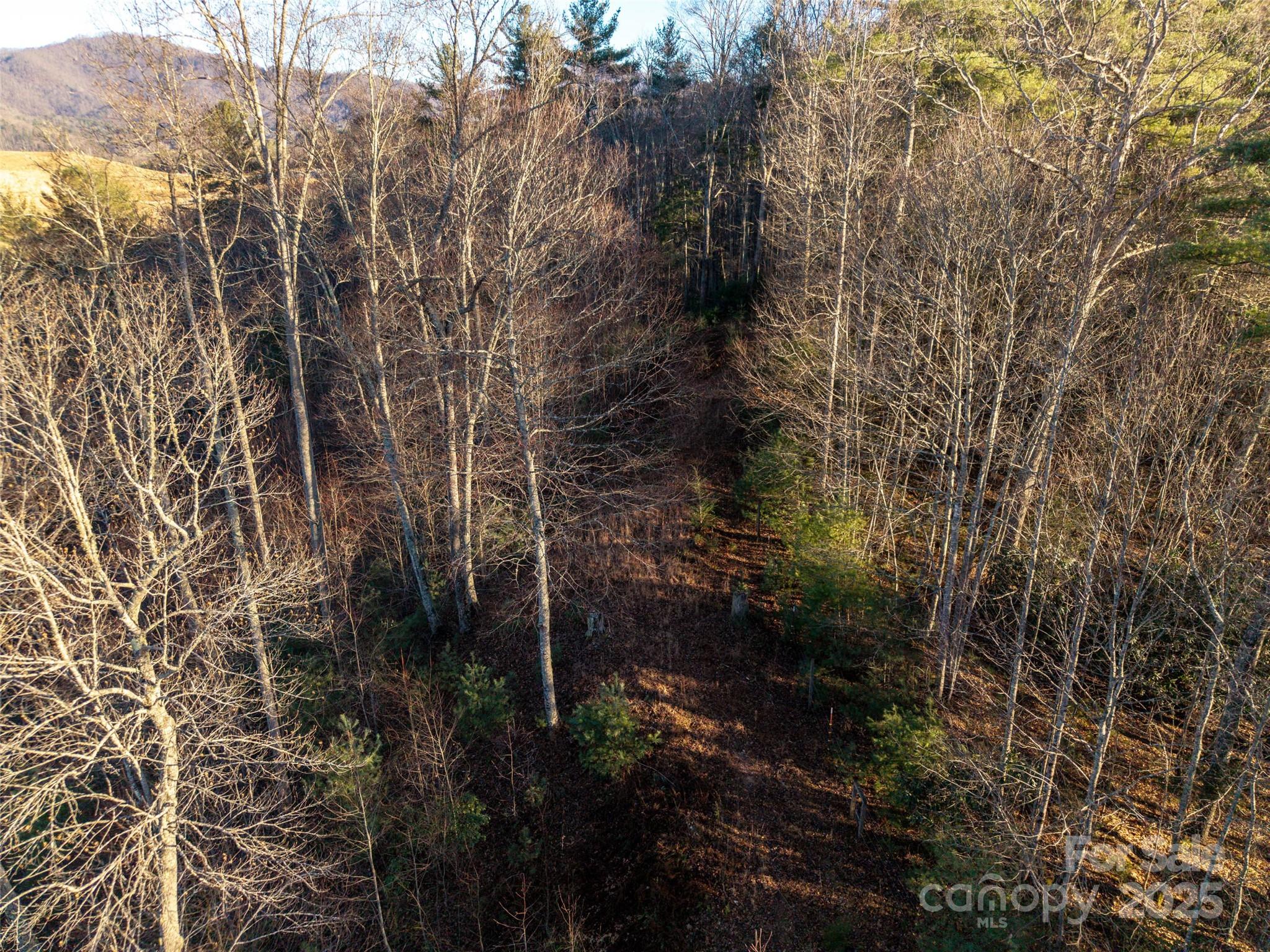 00 Eaglecrest Lane Property Photo 6