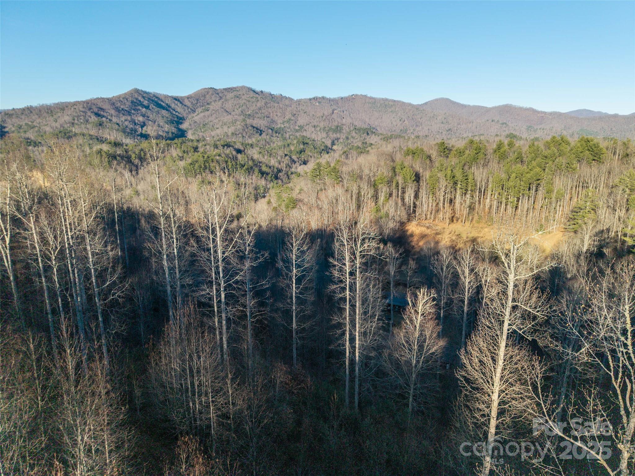 00 Eaglecrest Lane Property Photo 7