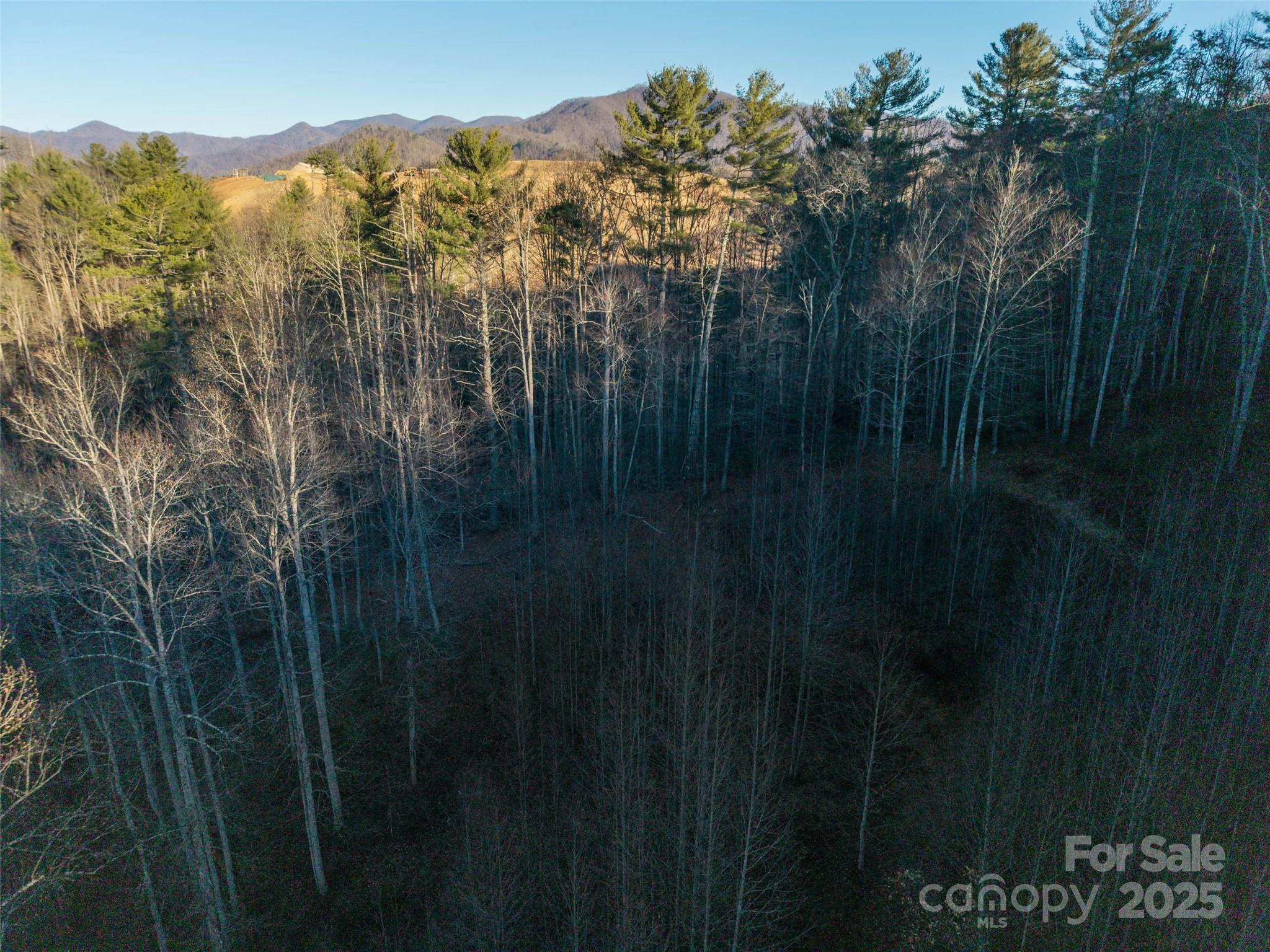 00 Eaglecrest Lane Property Photo 8