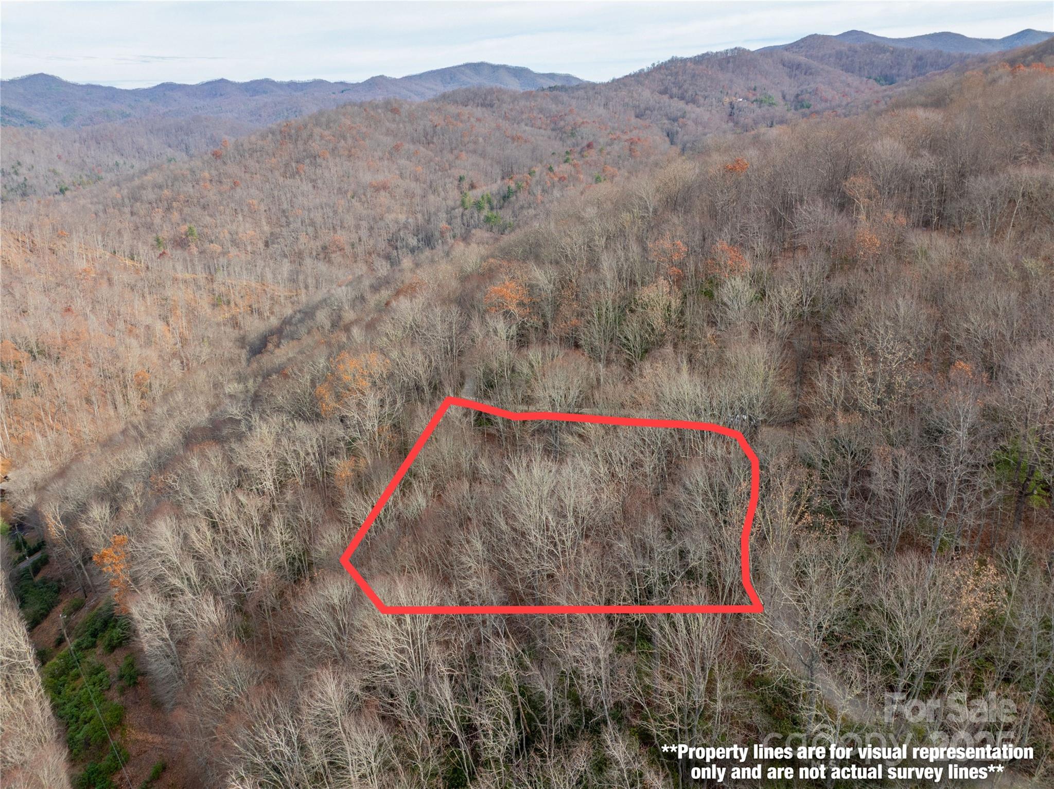 Lot 5 Mt Tabor Road Property Photo 1