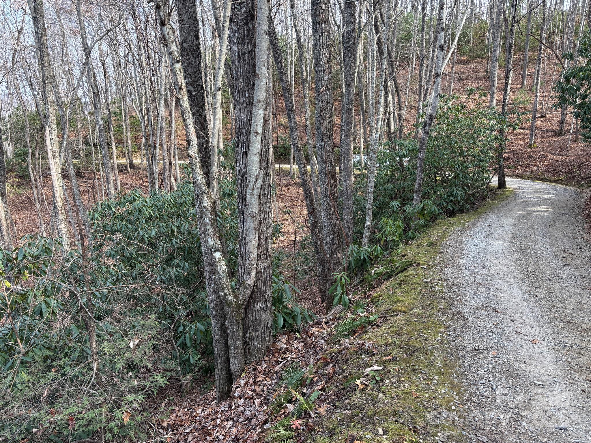 Lot 5 Mt Tabor Road Property Photo 3