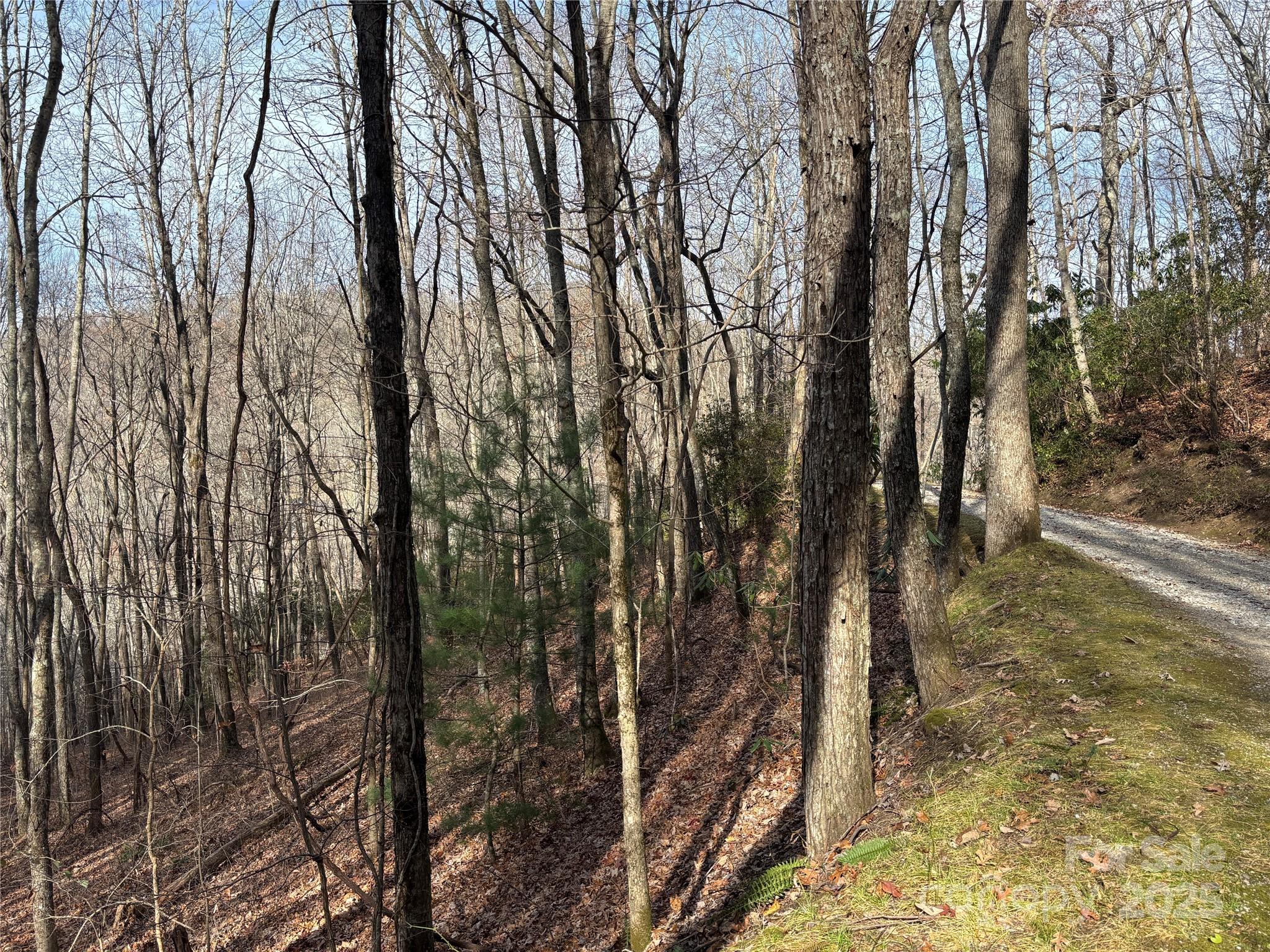 Lot 5 Mt Tabor Road Property Photo 6