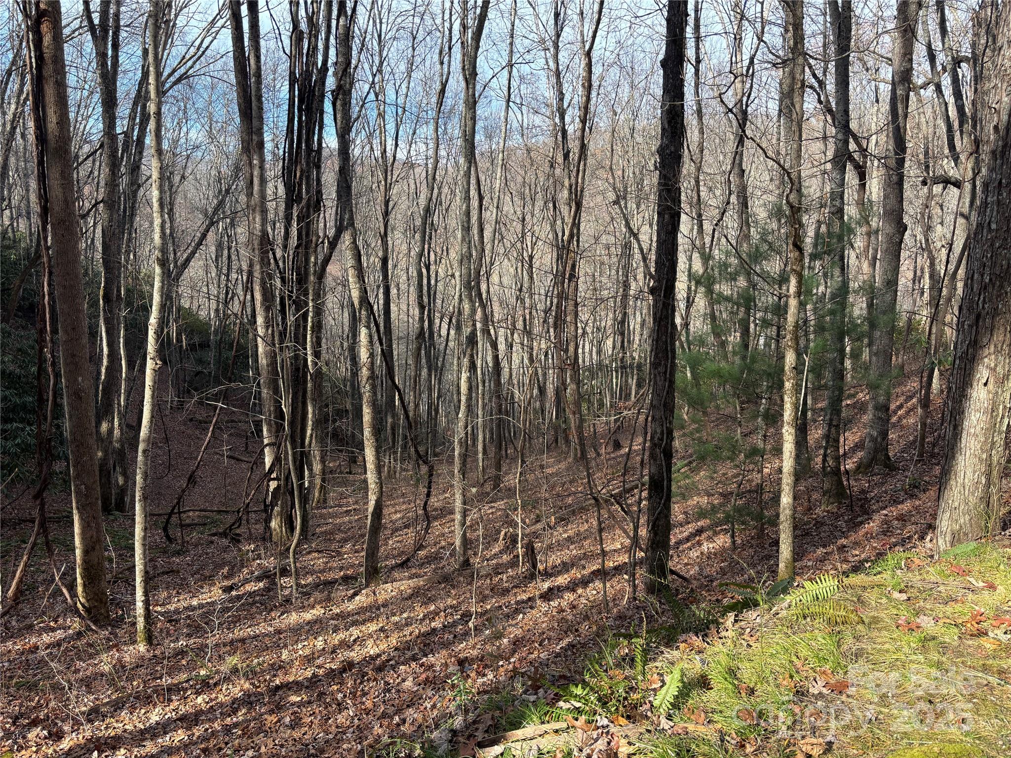 Lot 5 Mt Tabor Road Property Photo 7
