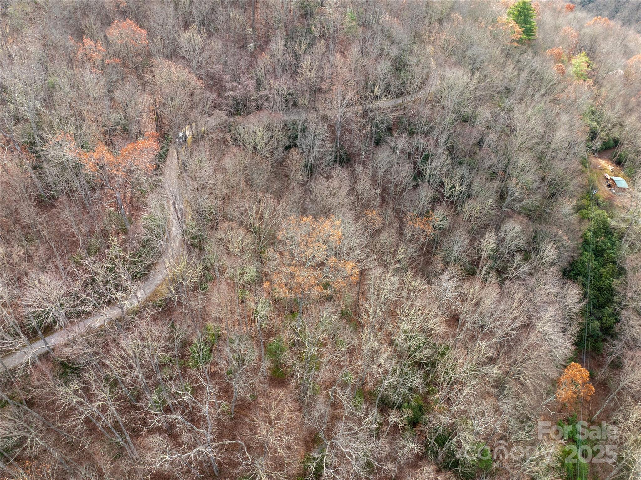 Lot 5 Mt Tabor Road Property Photo 9