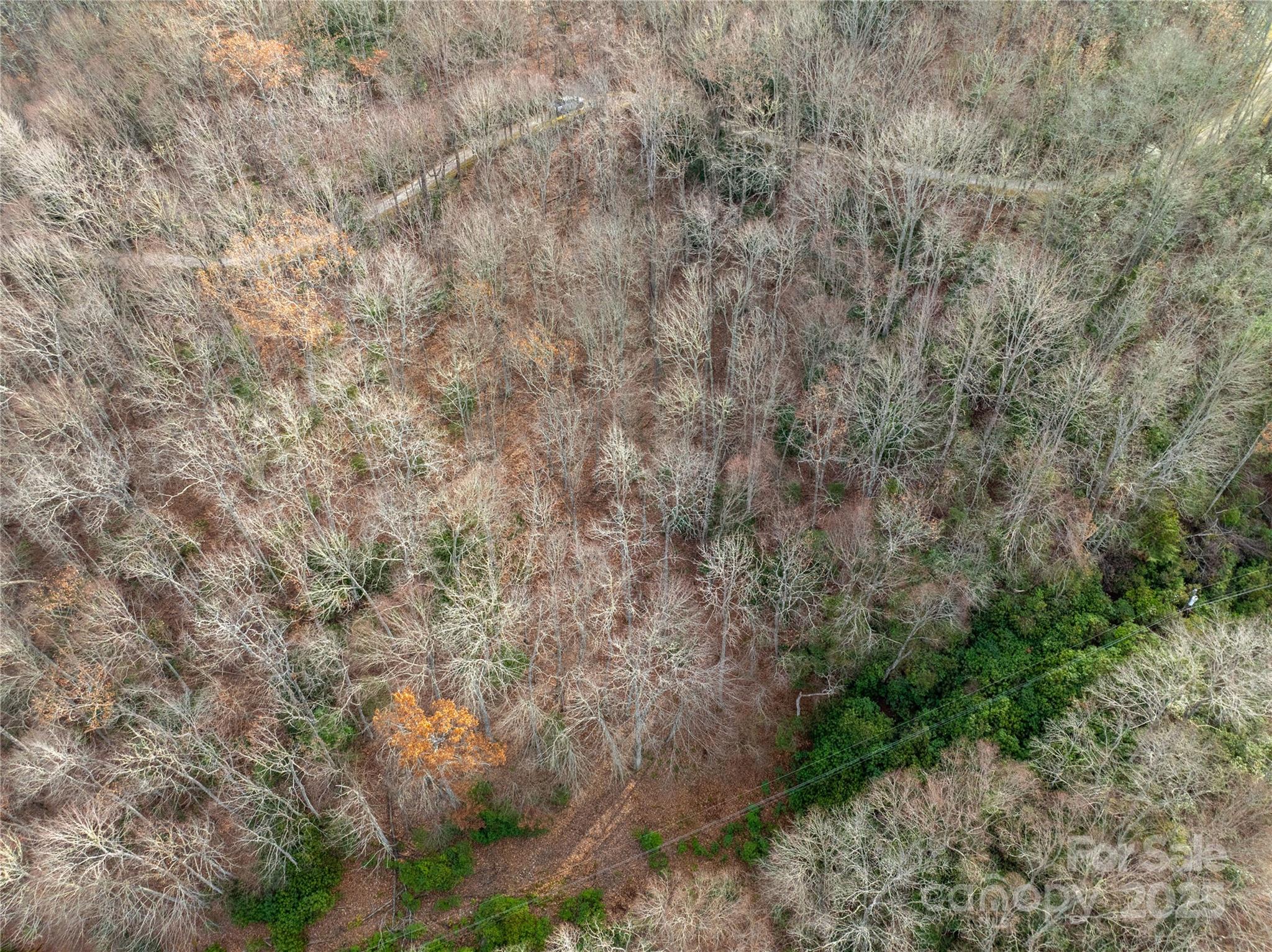Lot 5 Mt Tabor Road Property Photo 10
