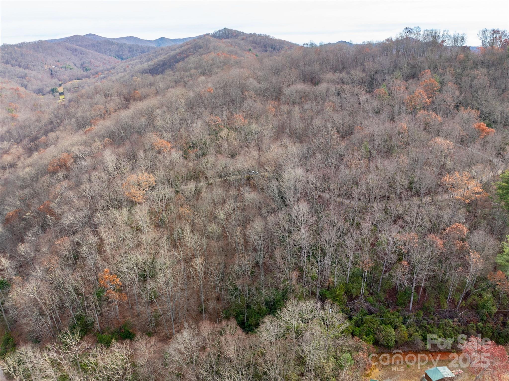 Lot 5 Mt Tabor Road Property Photo 11