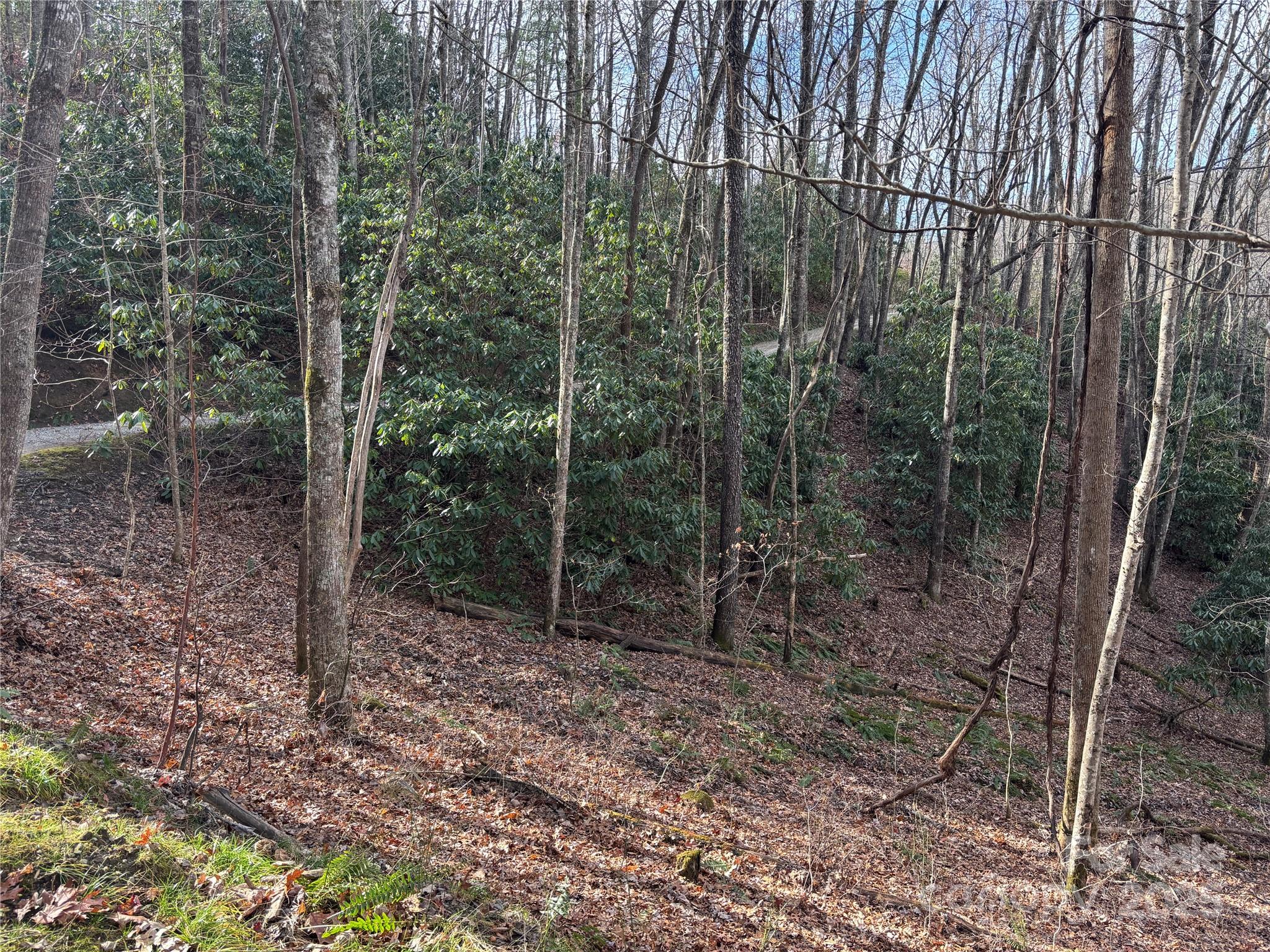 Lot 5 Mt Tabor Road Property Photo 16