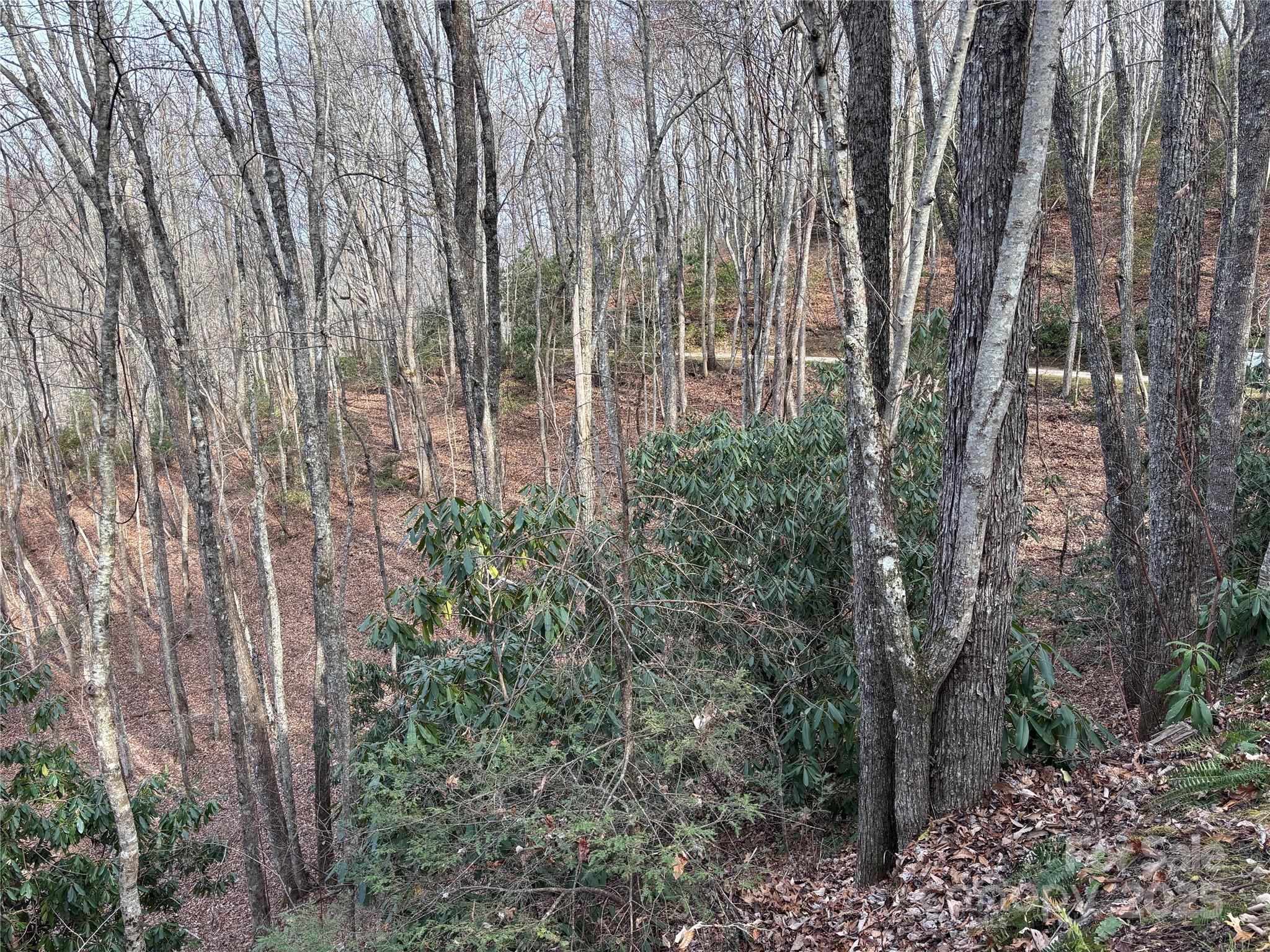 Lot 5 Mt Tabor Road Property Photo 17