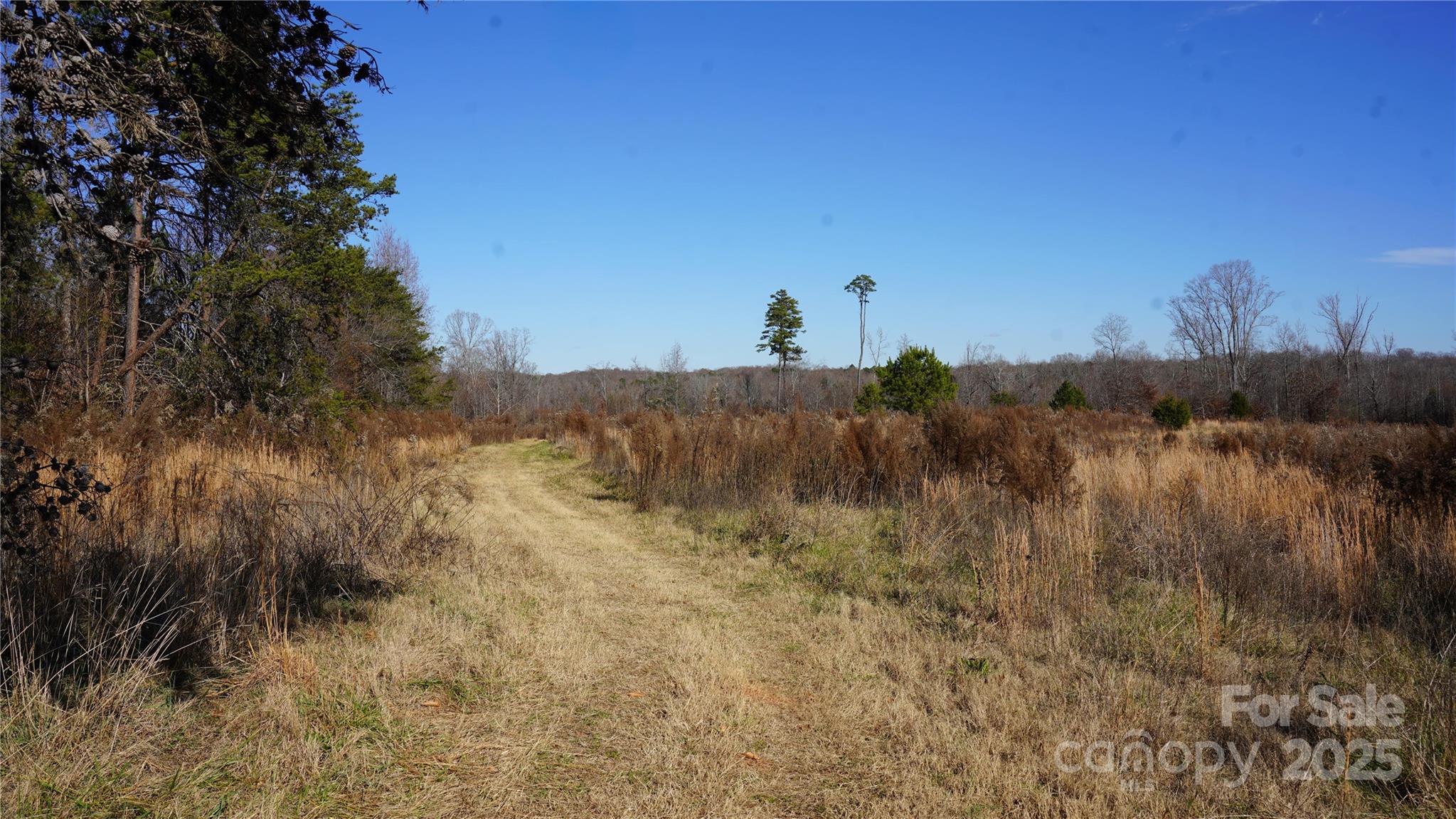 522 Whitworth Road Property Photo 1