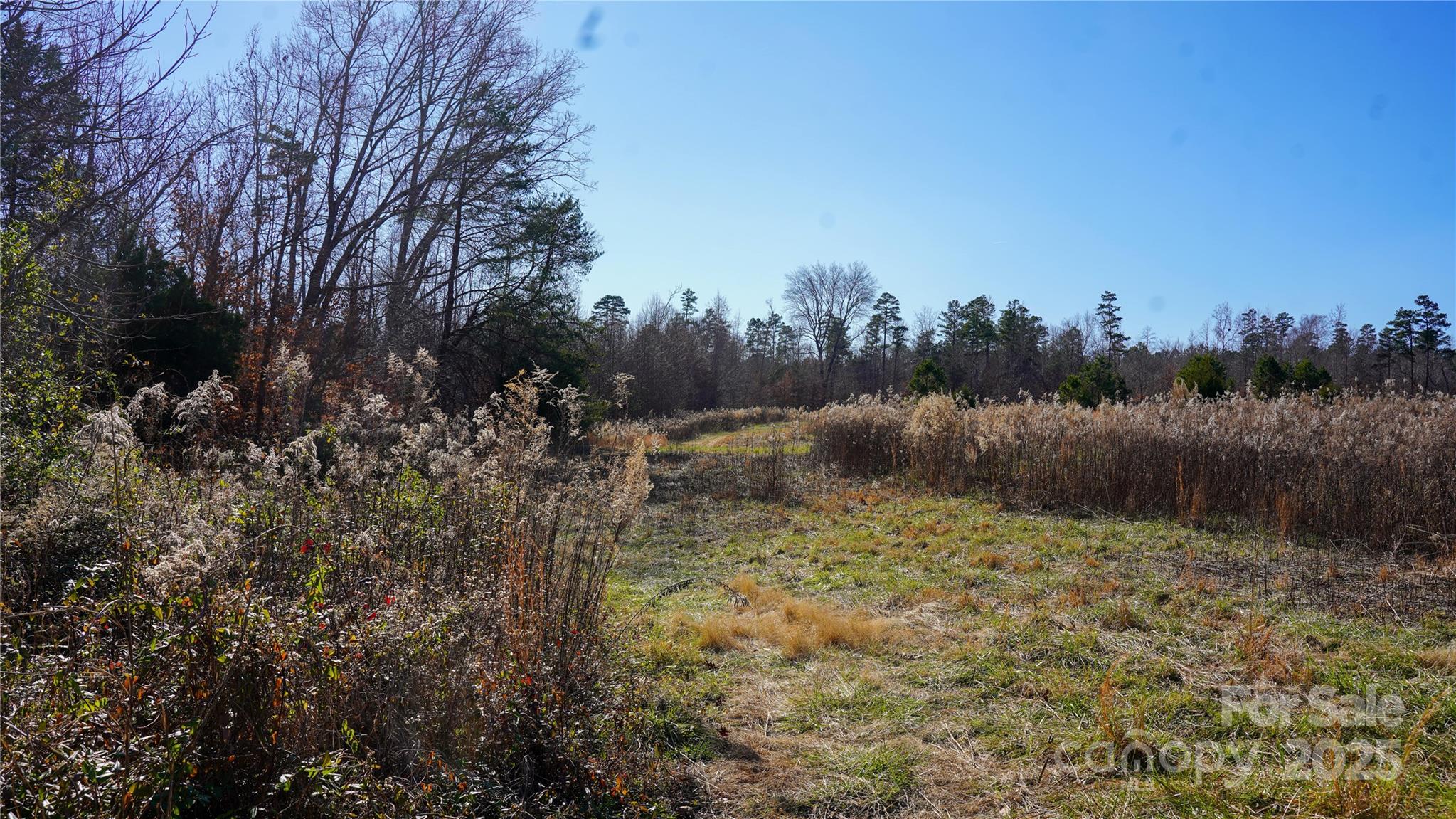 522 Whitworth Road Property Photo 2