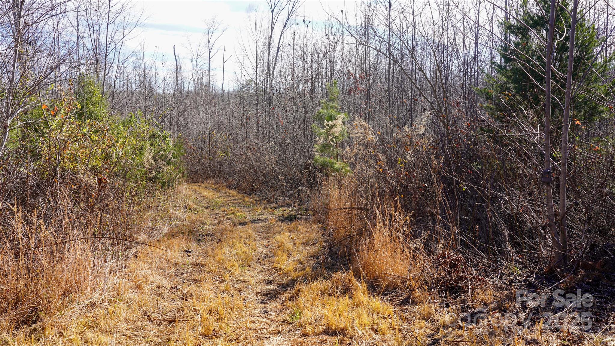 522 Whitworth Road Property Photo 14