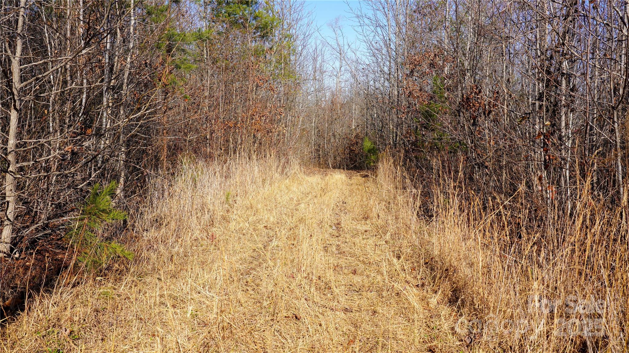 522 Whitworth Road Property Photo 15