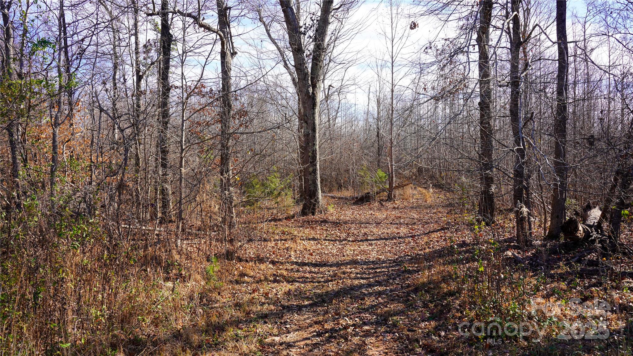 522 Whitworth Road Property Photo 17