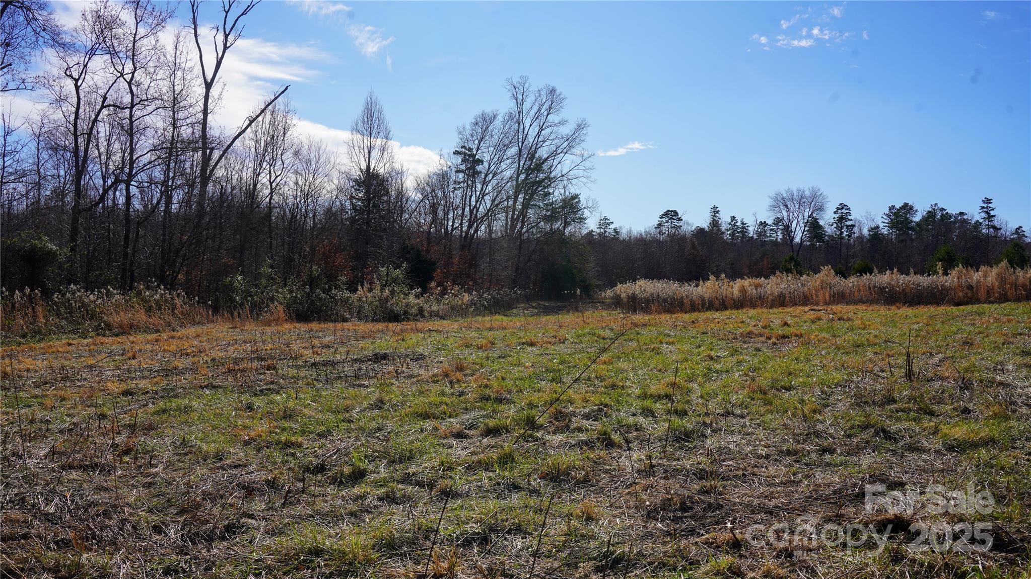 522 Whitworth Road Property Photo 18