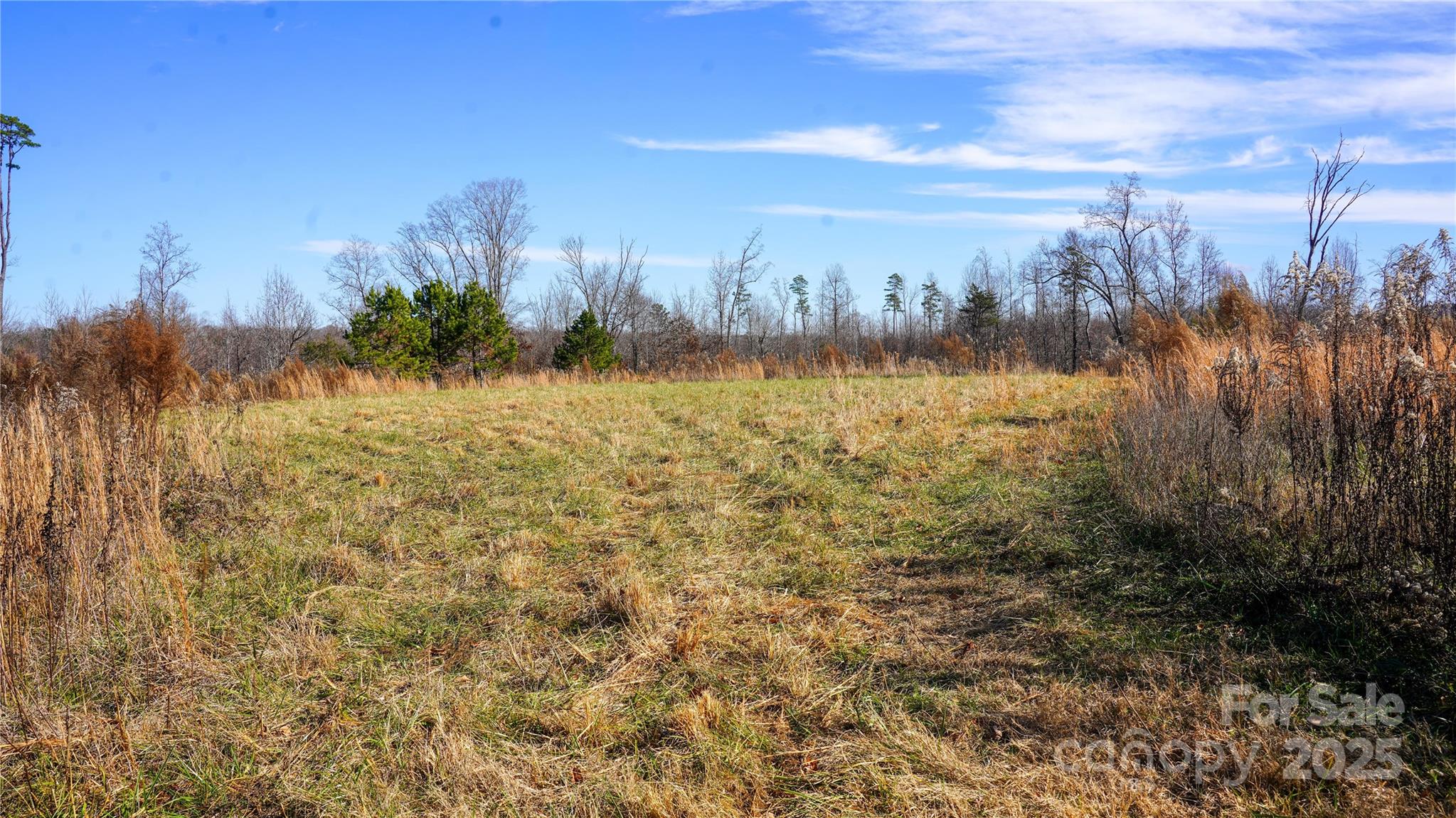 522 Whitworth Road Property Photo 20