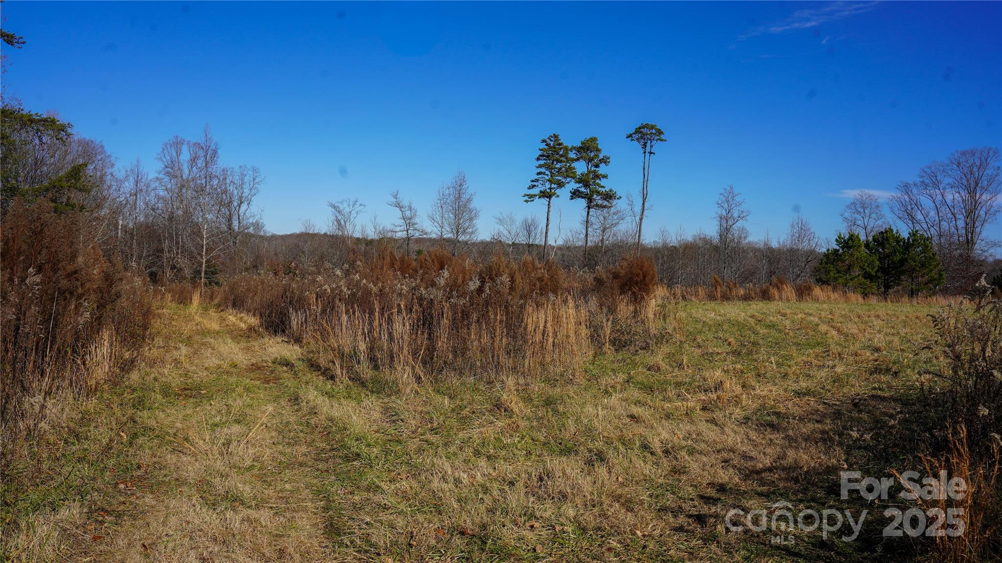 522 Whitworth Road Property Photo 21
